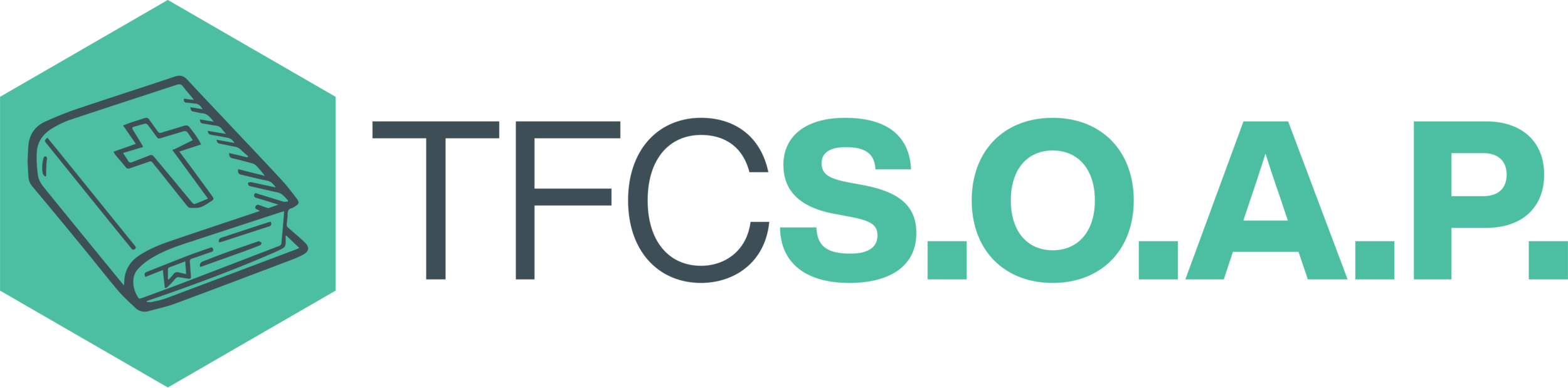SOAP Logo_Seconday.png