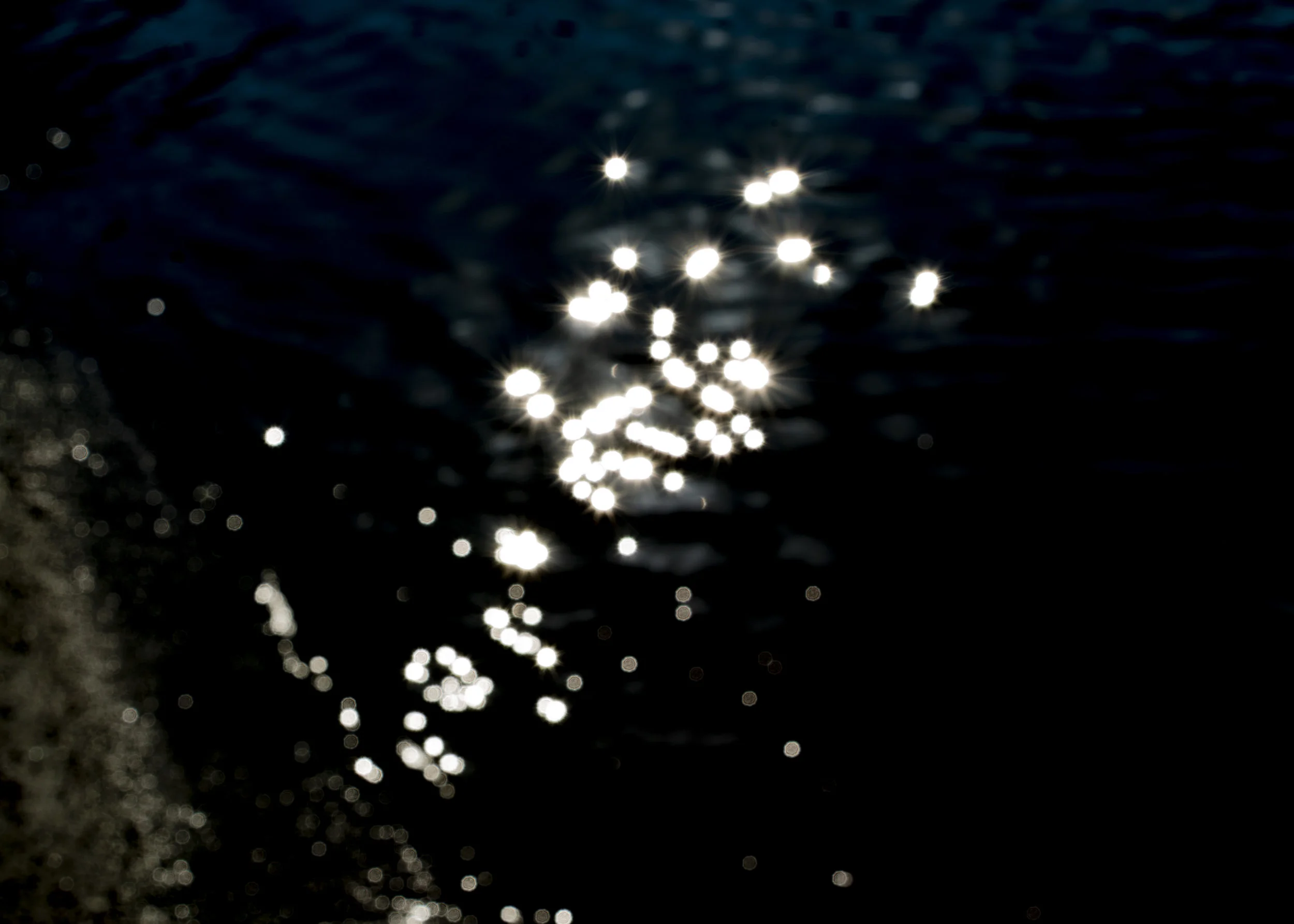DSC01834_aa.jpg
