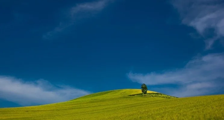 Serious About Making a Career Change This Year?