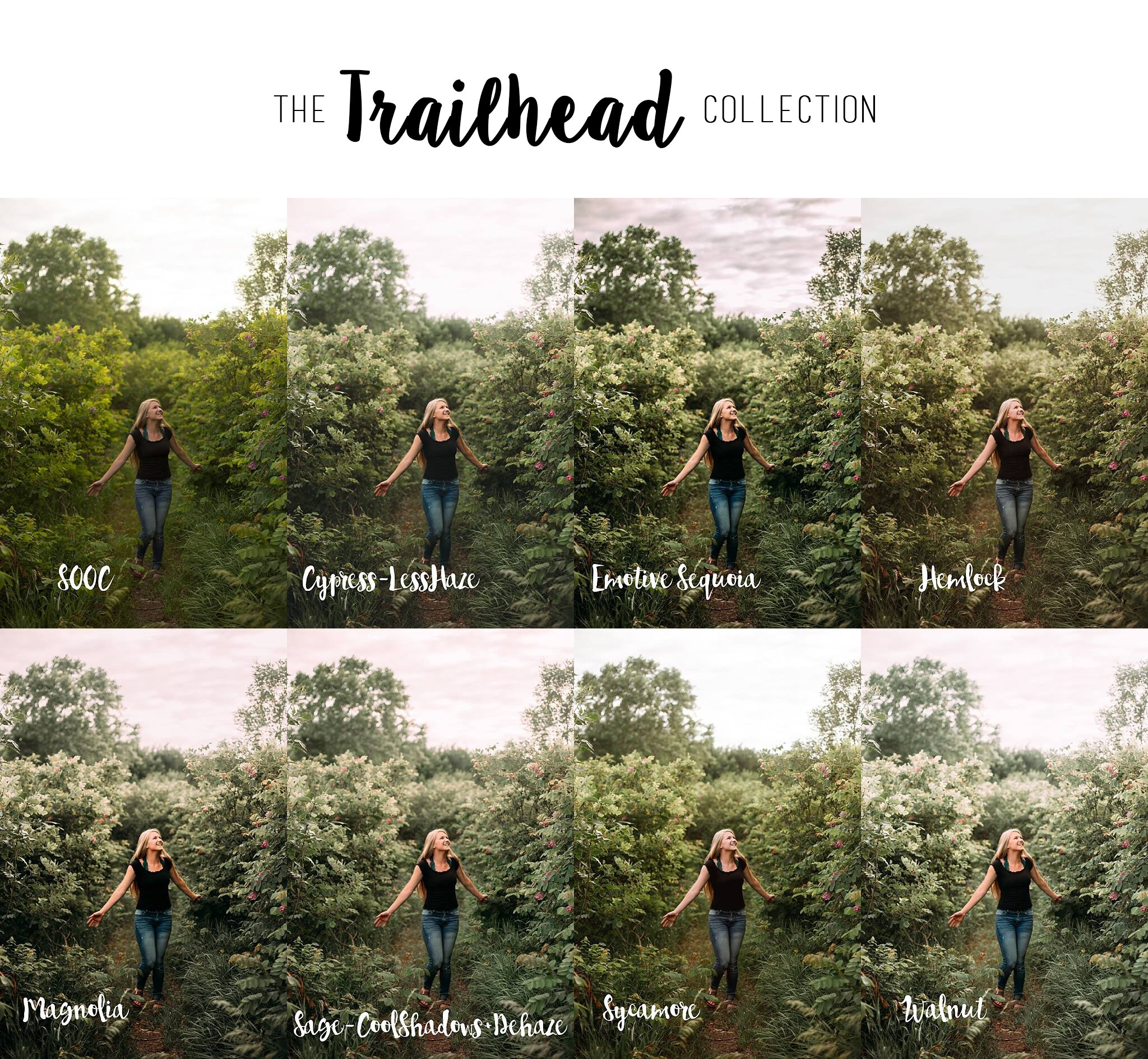 The Trailhead Collection