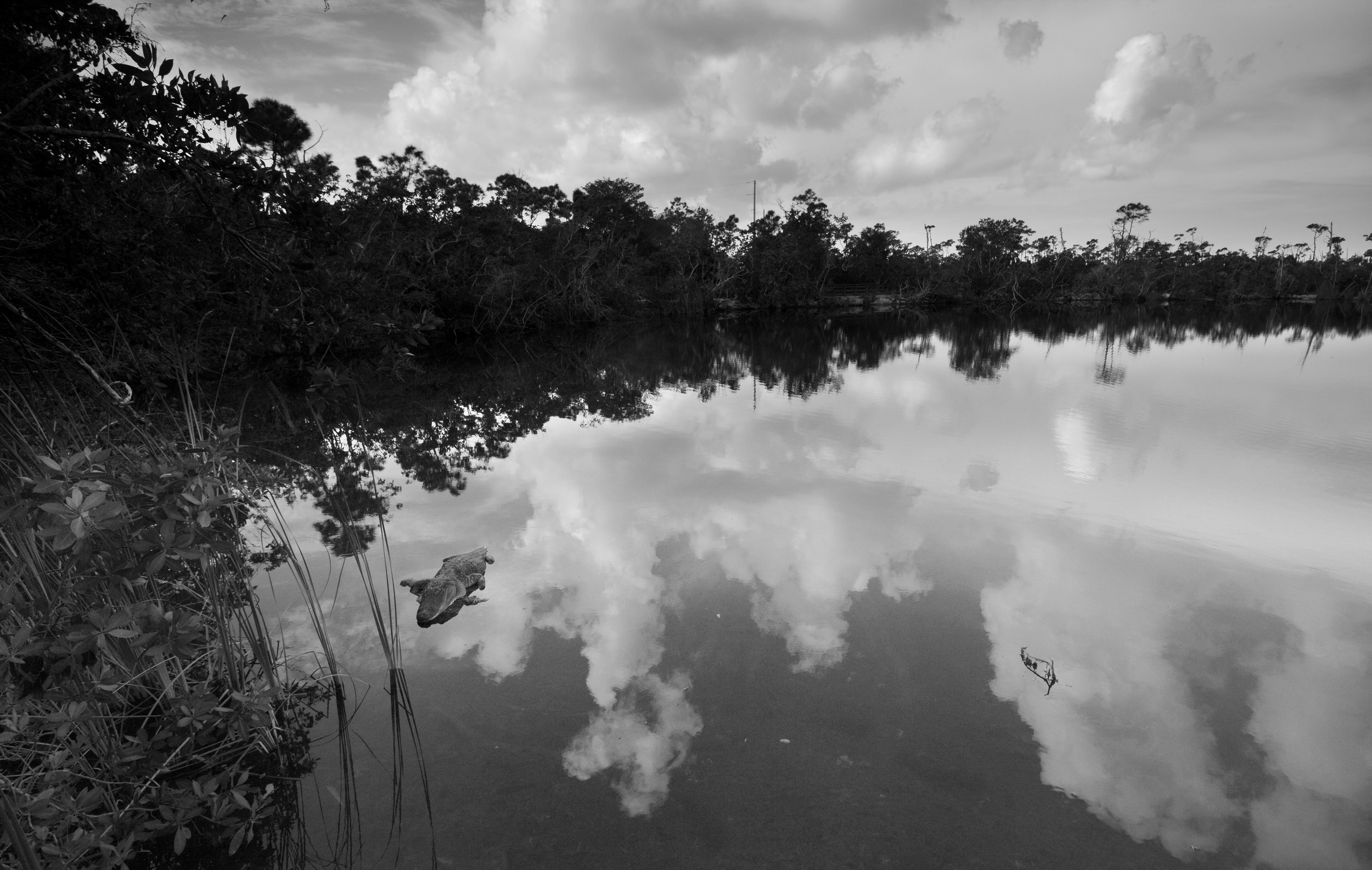IMG_1753 crop.jpeg
