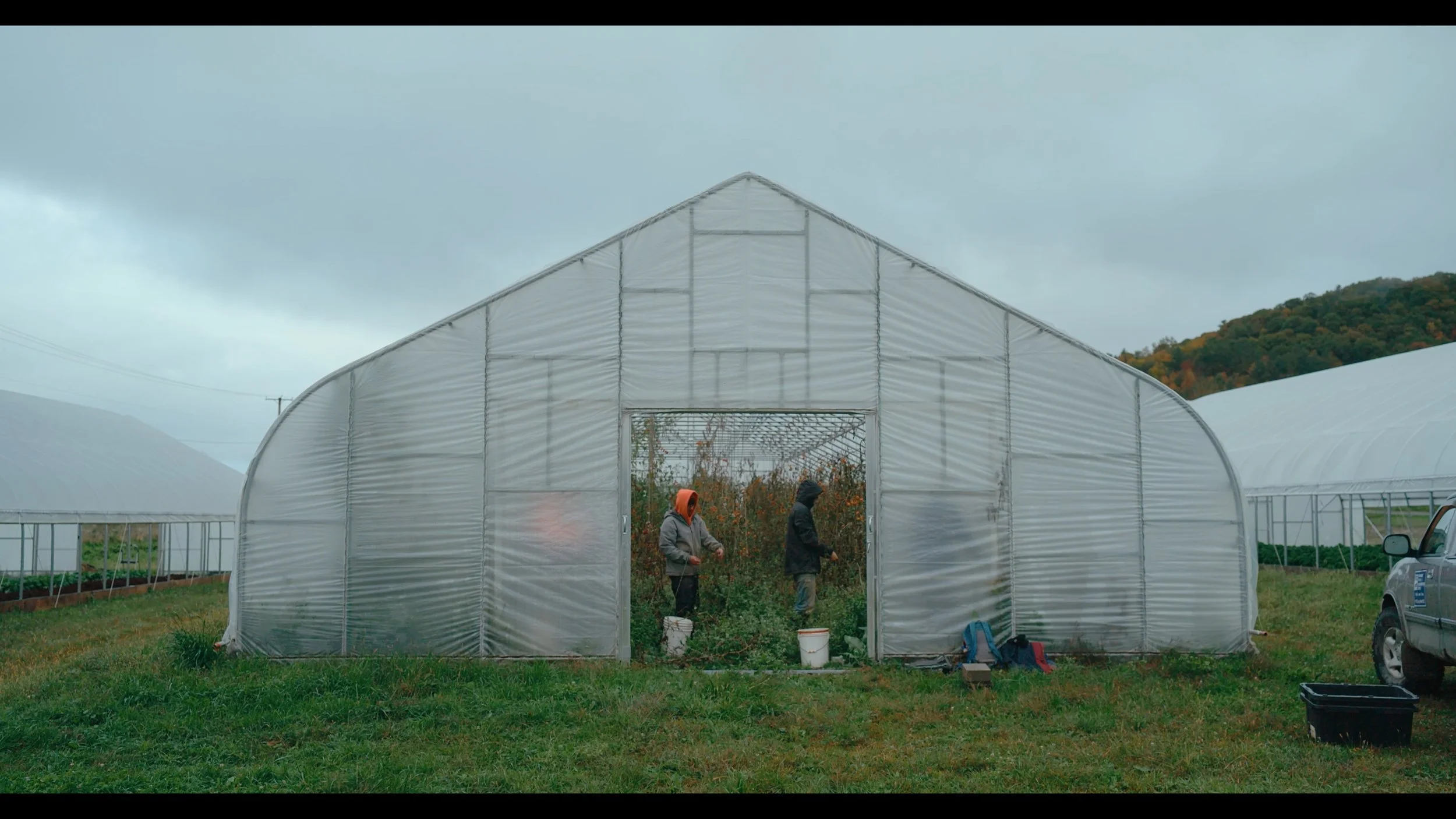 VT Youth Conservation Corps Farm 1.jpg