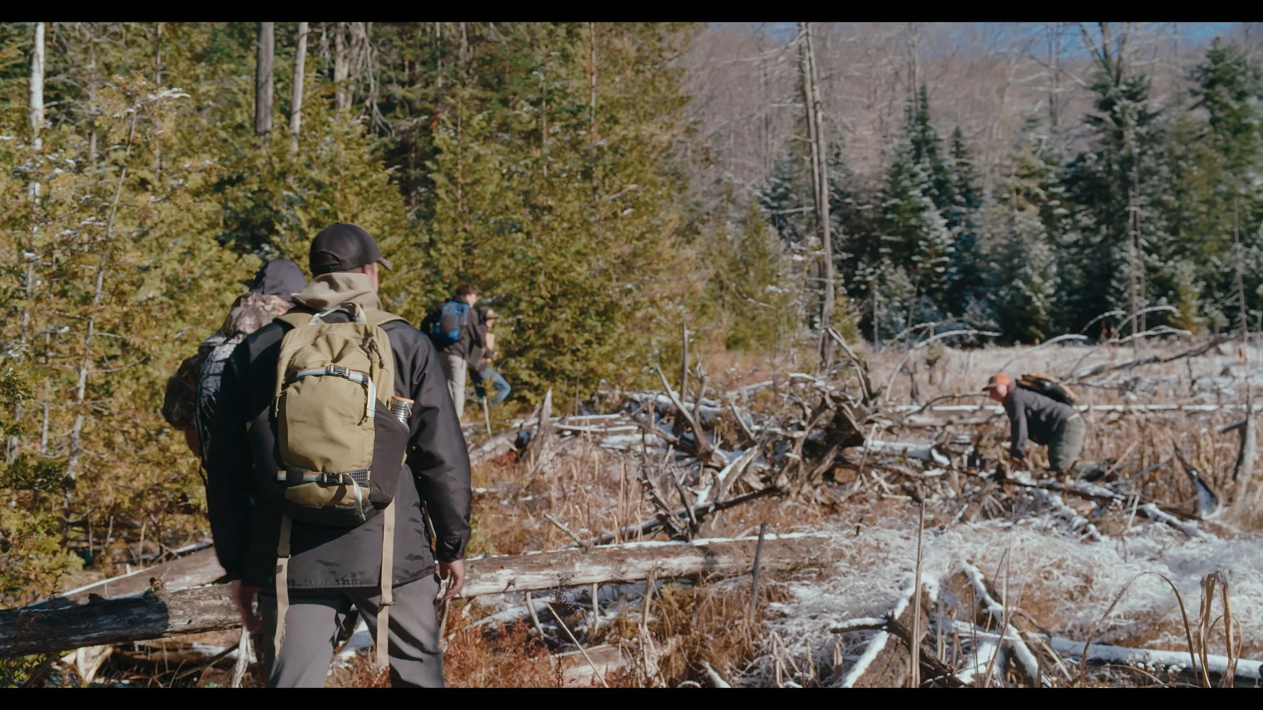 Kingdom Course 4.jpg