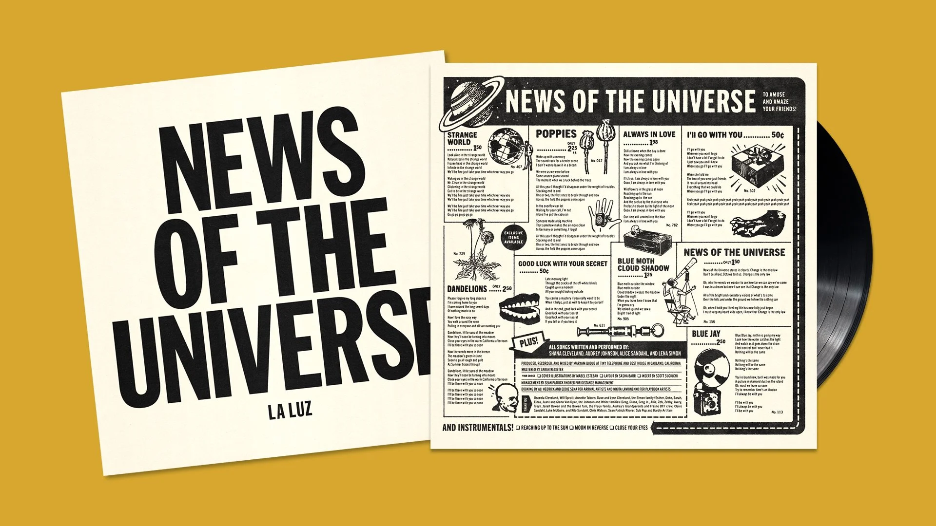 LaLuz_News_Insert_NEW.jpg