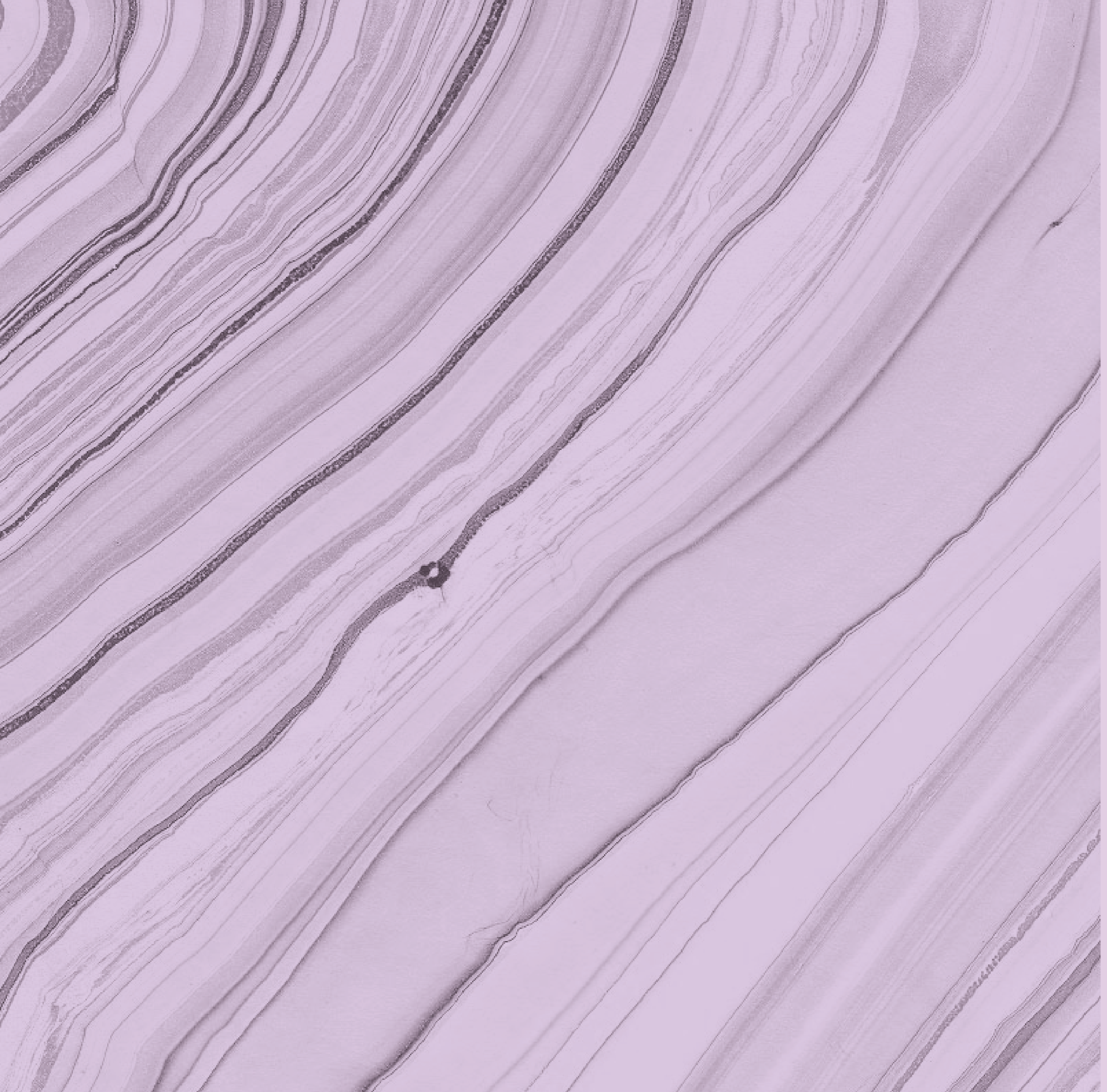 wlcc_background-04.png