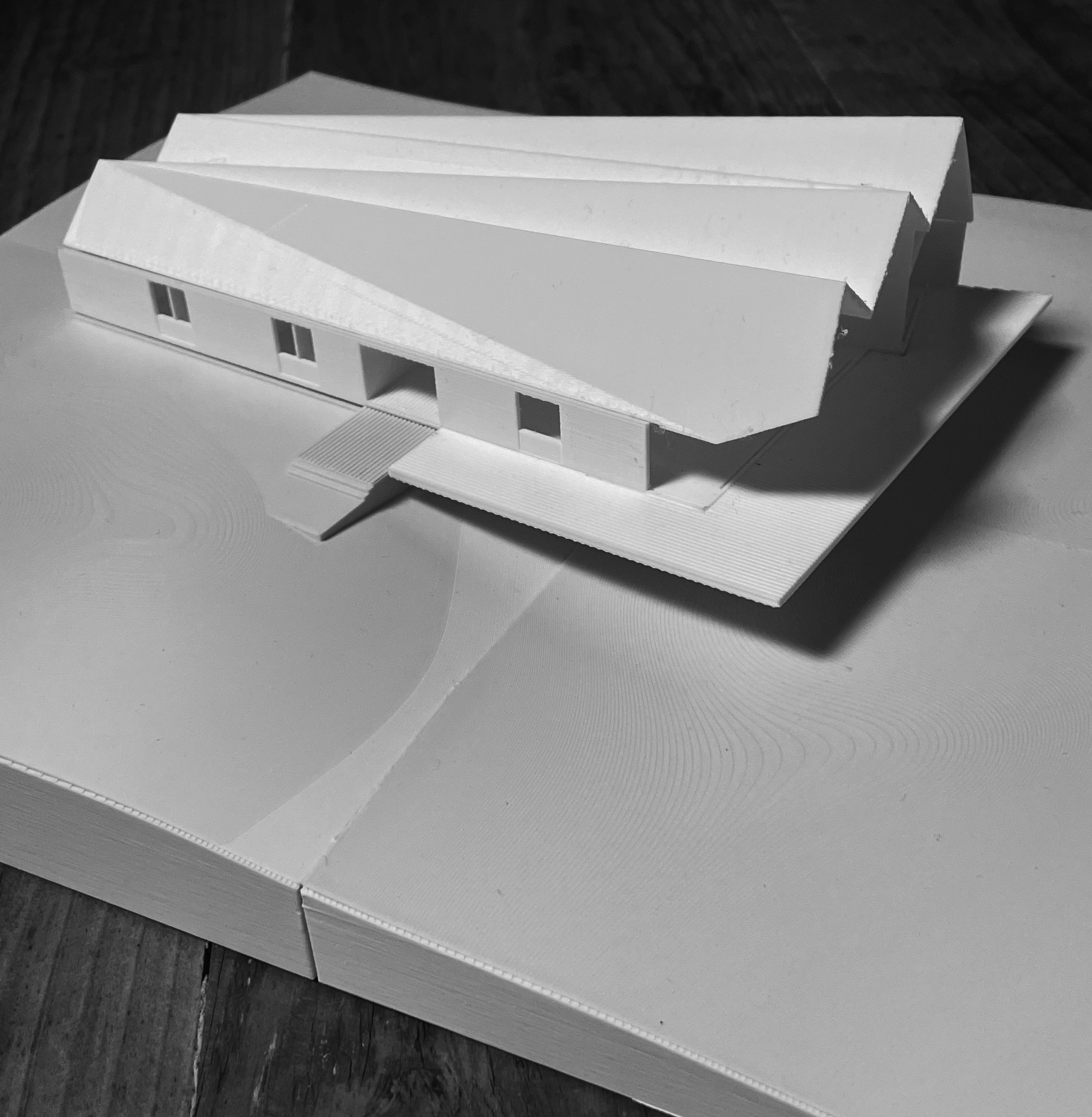 IMG-0963_BW.jpg