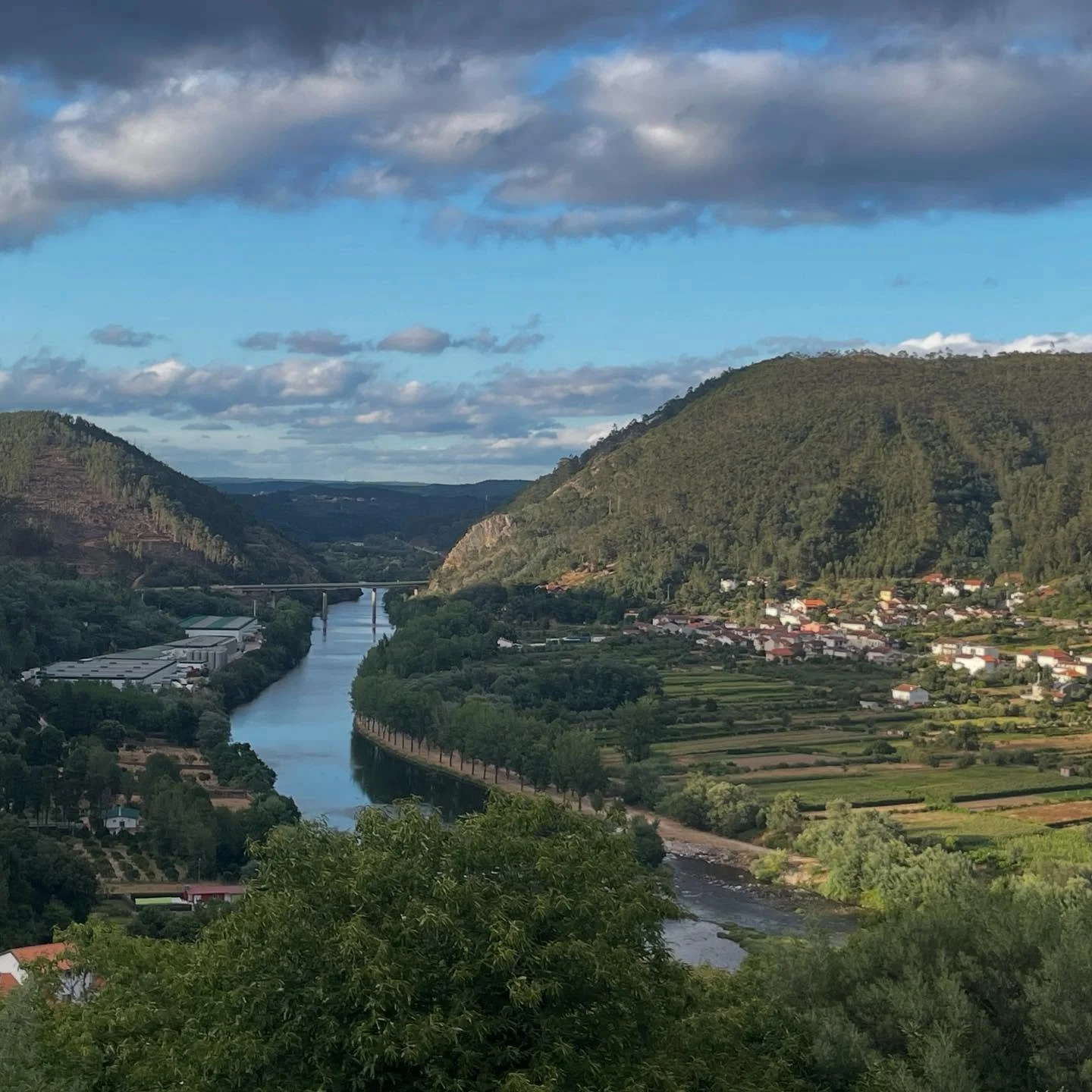 Pratt SOA graduate architecture faculty project for Aderiva Festival in Penacova, Portugal. #prattsoa #prattgaud