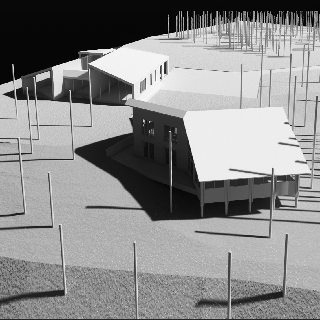 111225_Newman House_Above View_crop.png