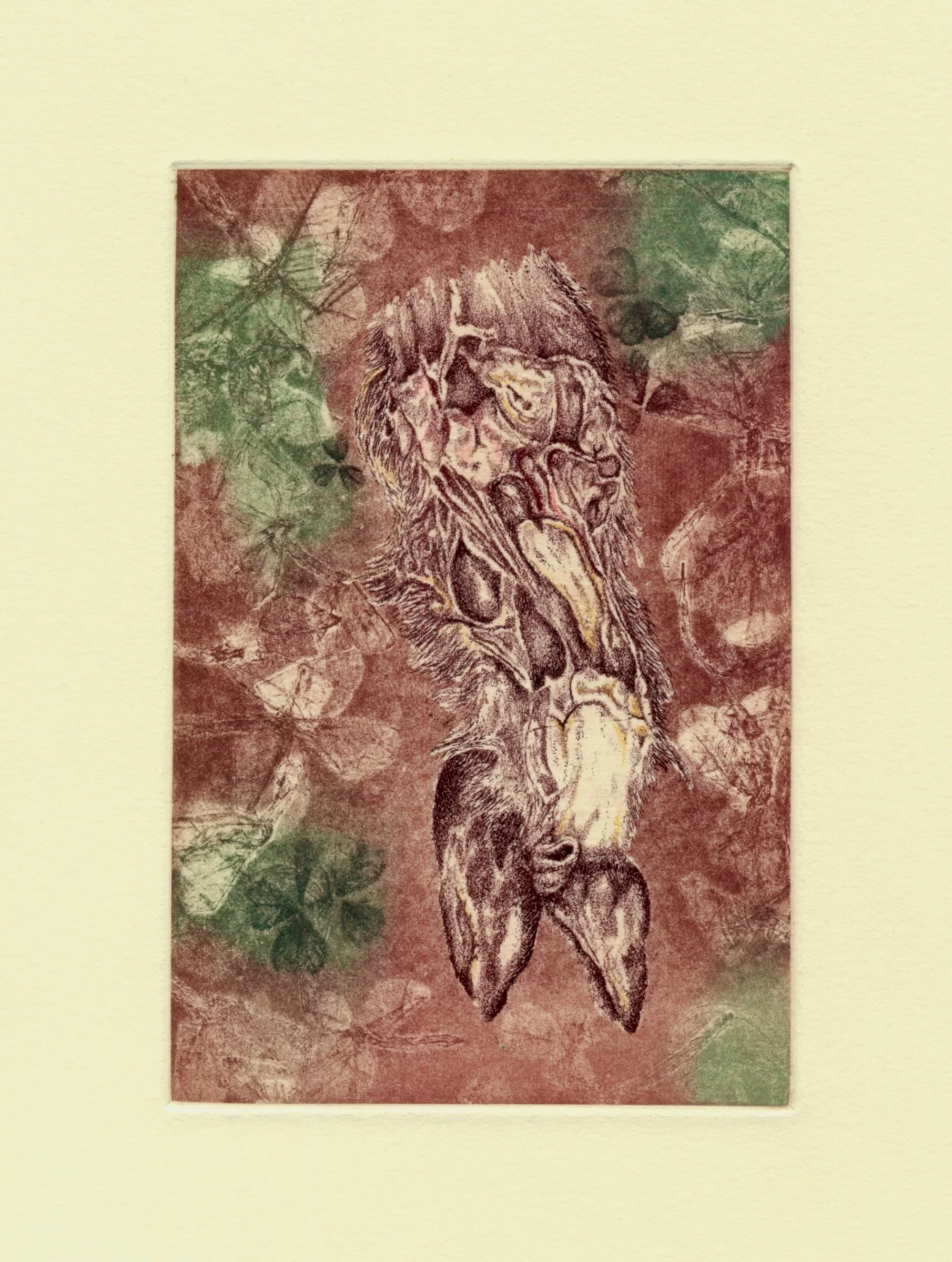 Roadkill Diaries Entry 01: Running out of Luck