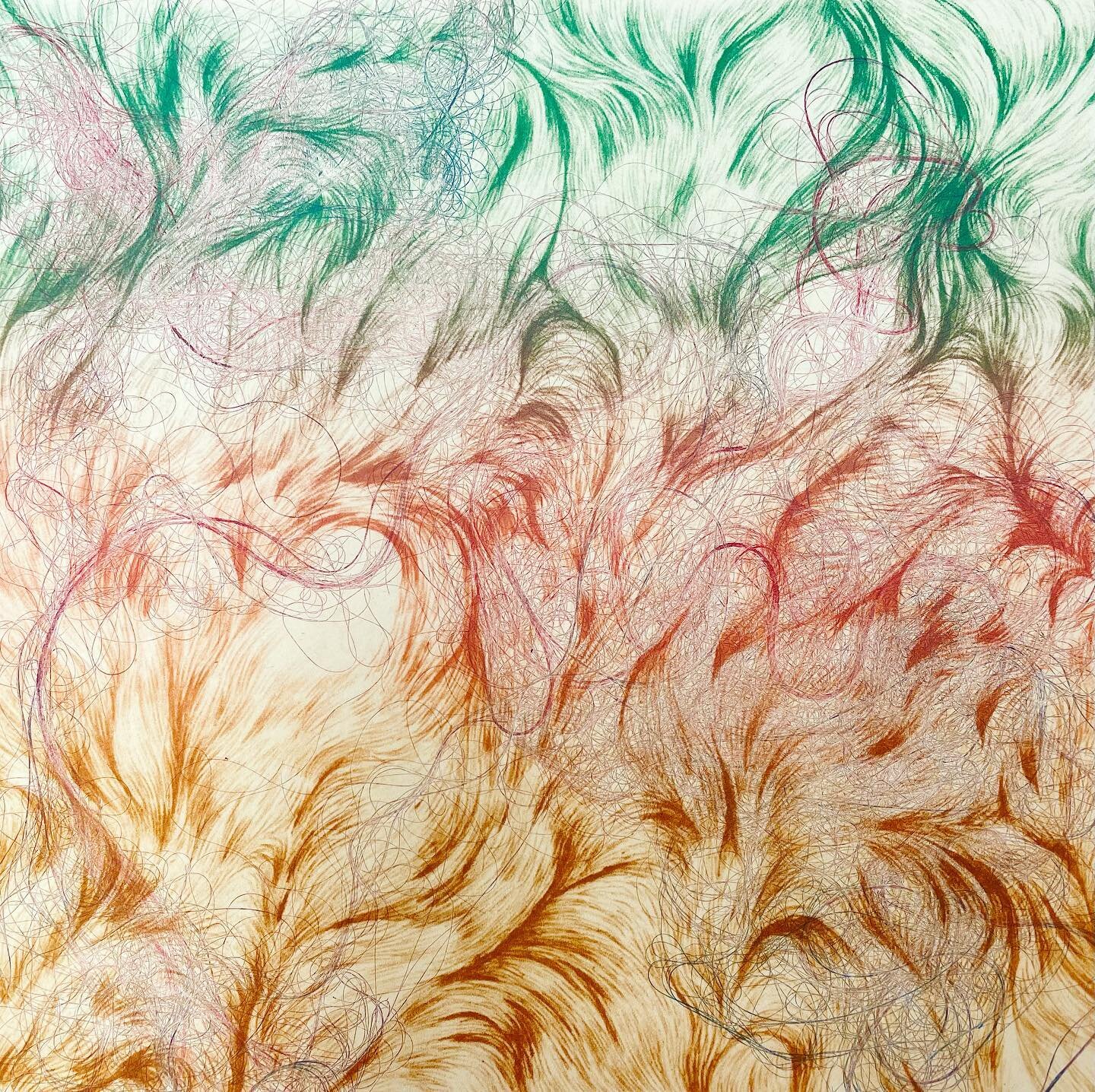 Some strange spaghetti 🤤🌈👀

#print #printmaking #contemporaryprintmaking #drawing #contemporaryart #contemporarydrawing #lithography #photolitho #photolithography #monotype #hairmonotype #hair #fluff #tasty #spaghetti #ohioartist #ohioprintmaker #