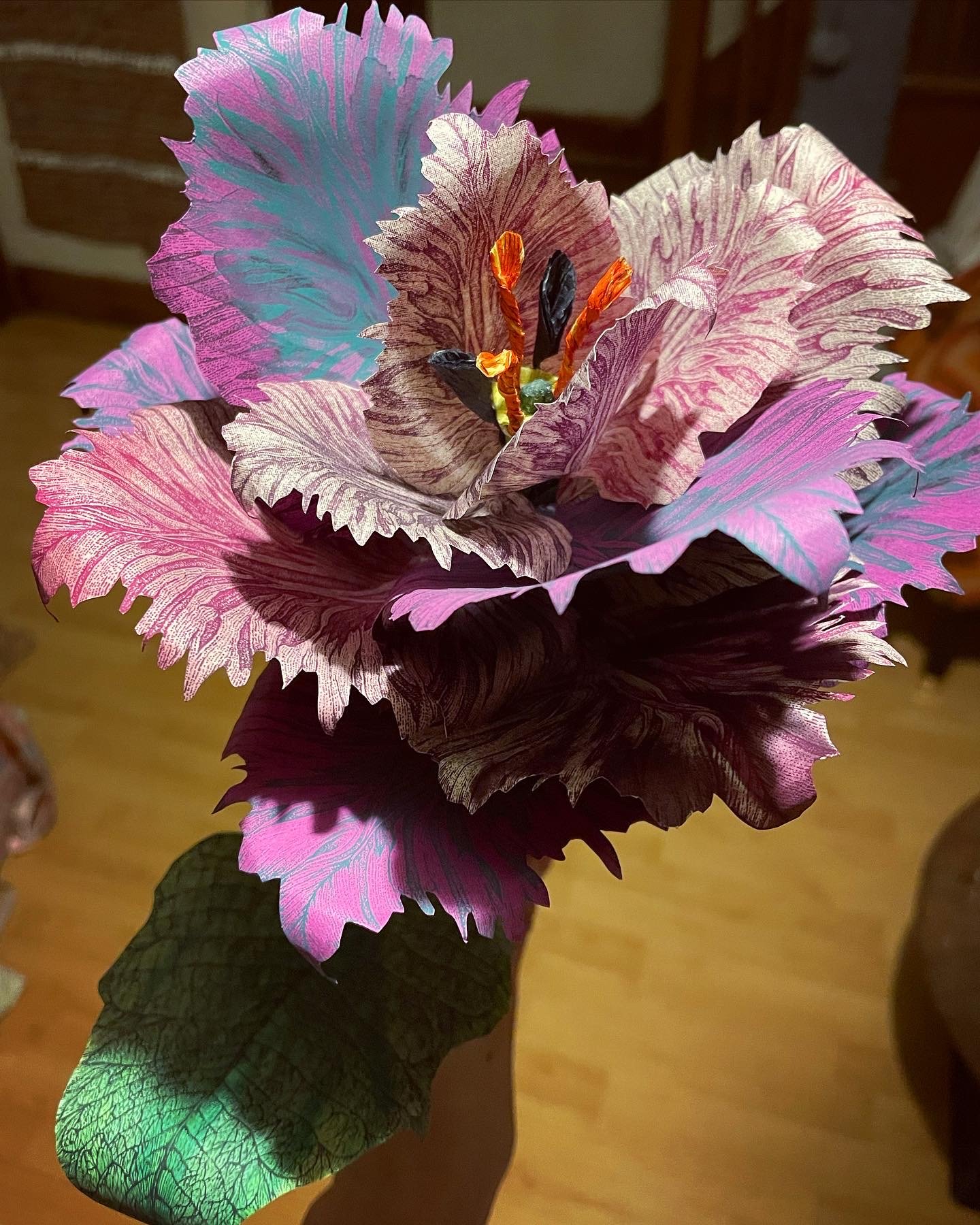 Black Parrot Tulip