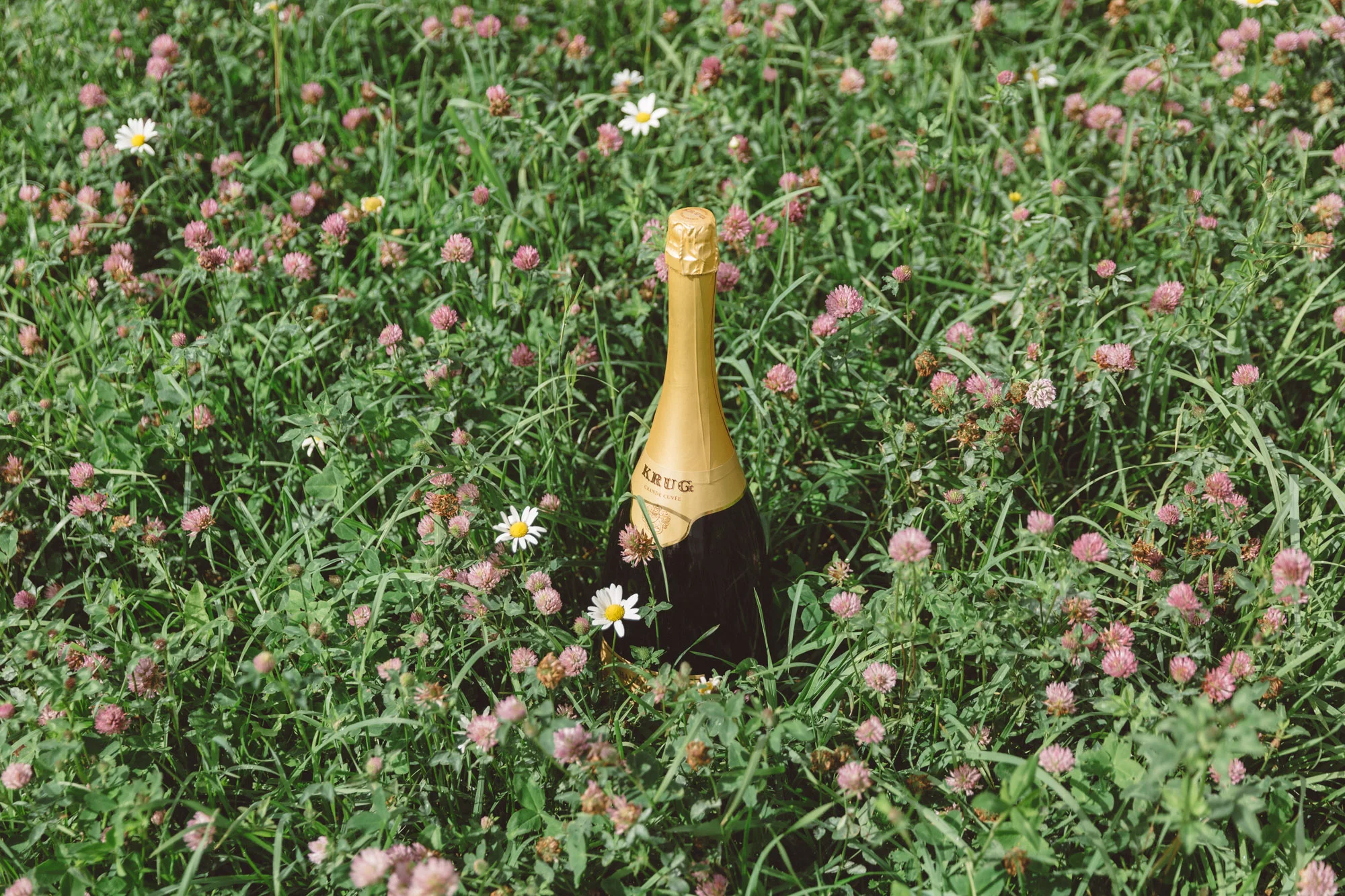 Krug_Festival_JJohns-9947.jpg