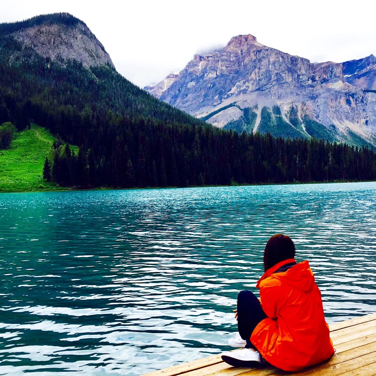 Taking it all in