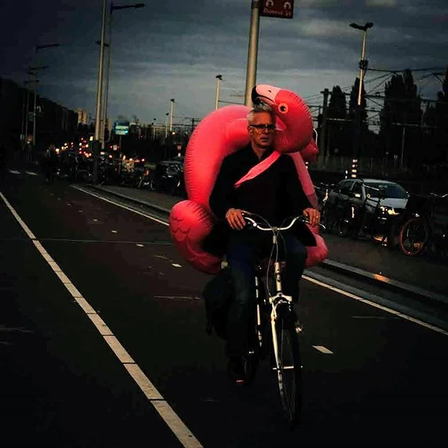 I think the Dutch have an ongoing competition with each other to see who can carry the most ridiculous thing on a bike.
