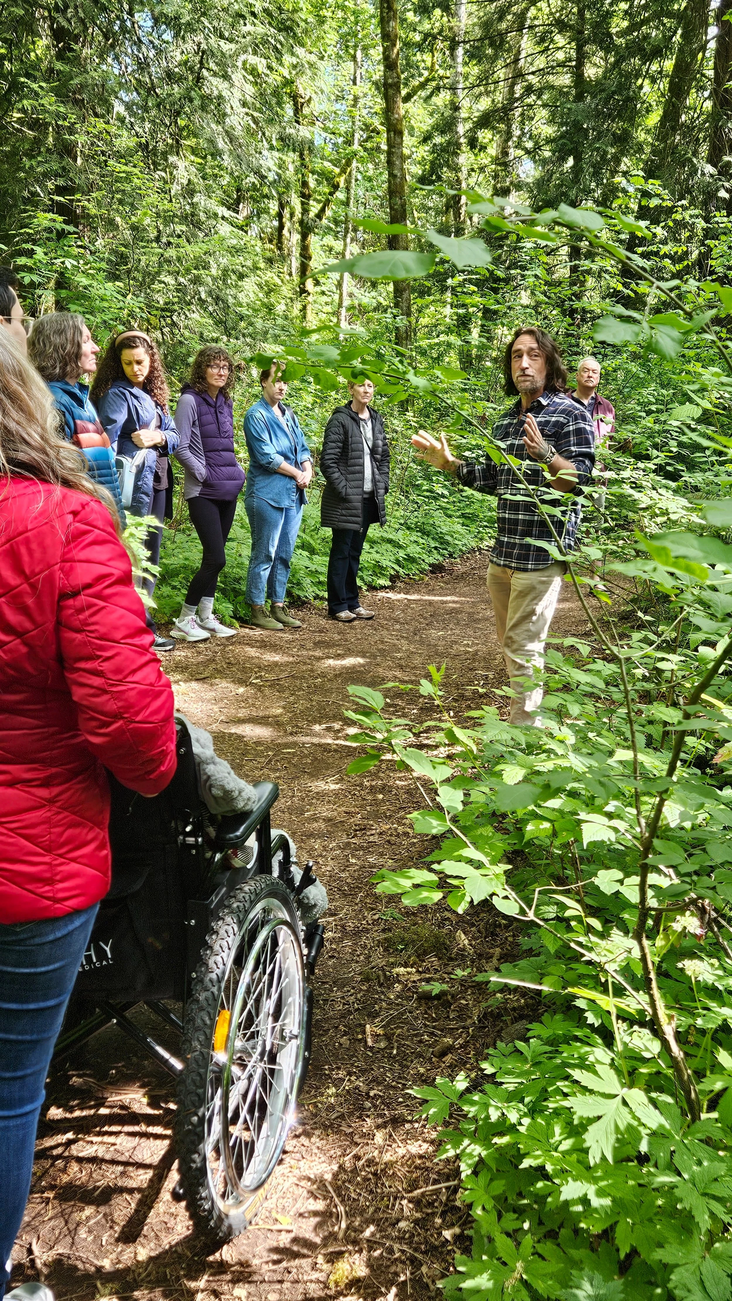 PDX Forest Bathing Is Wheelchair Friendly!