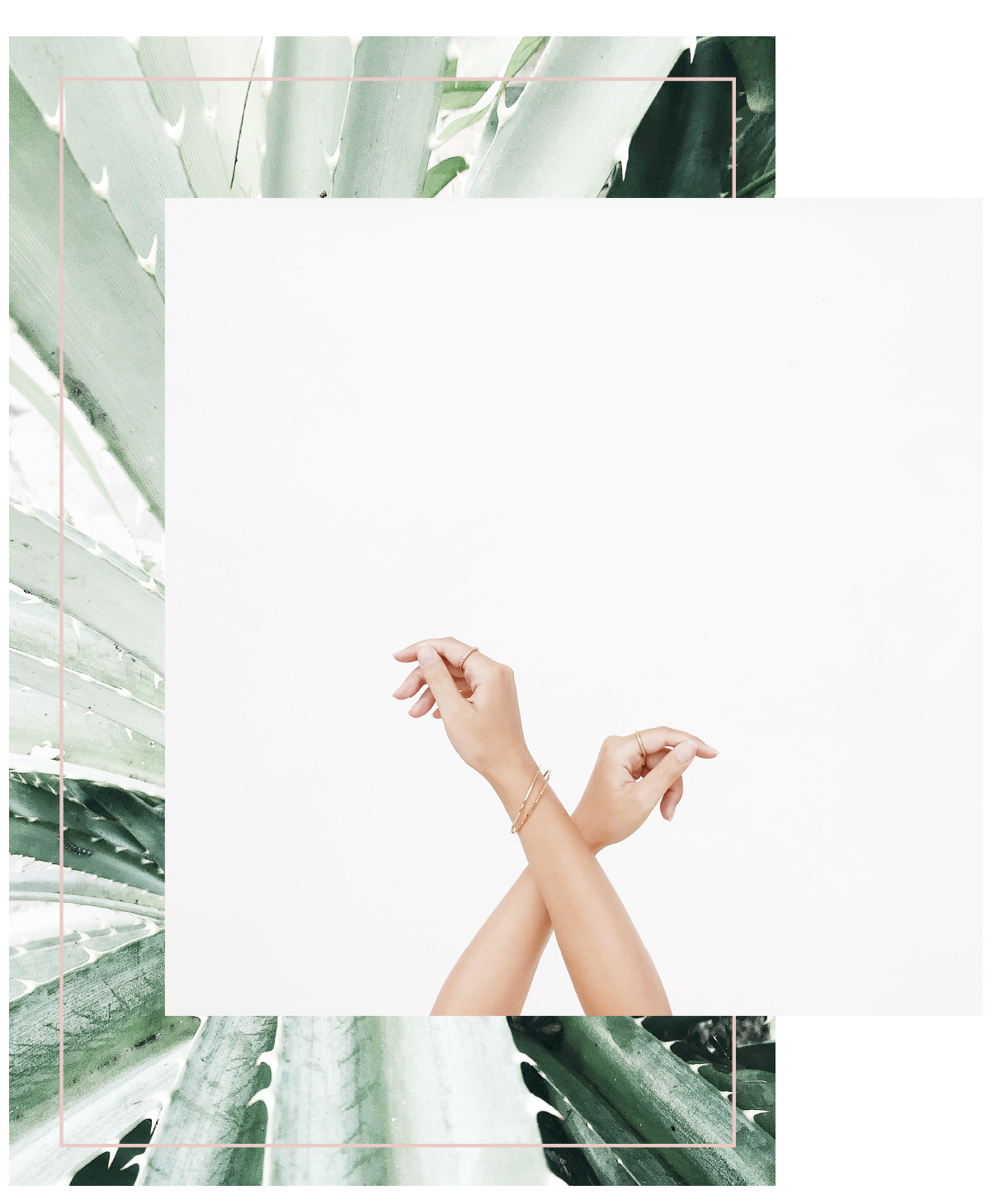 Intro-Image.png