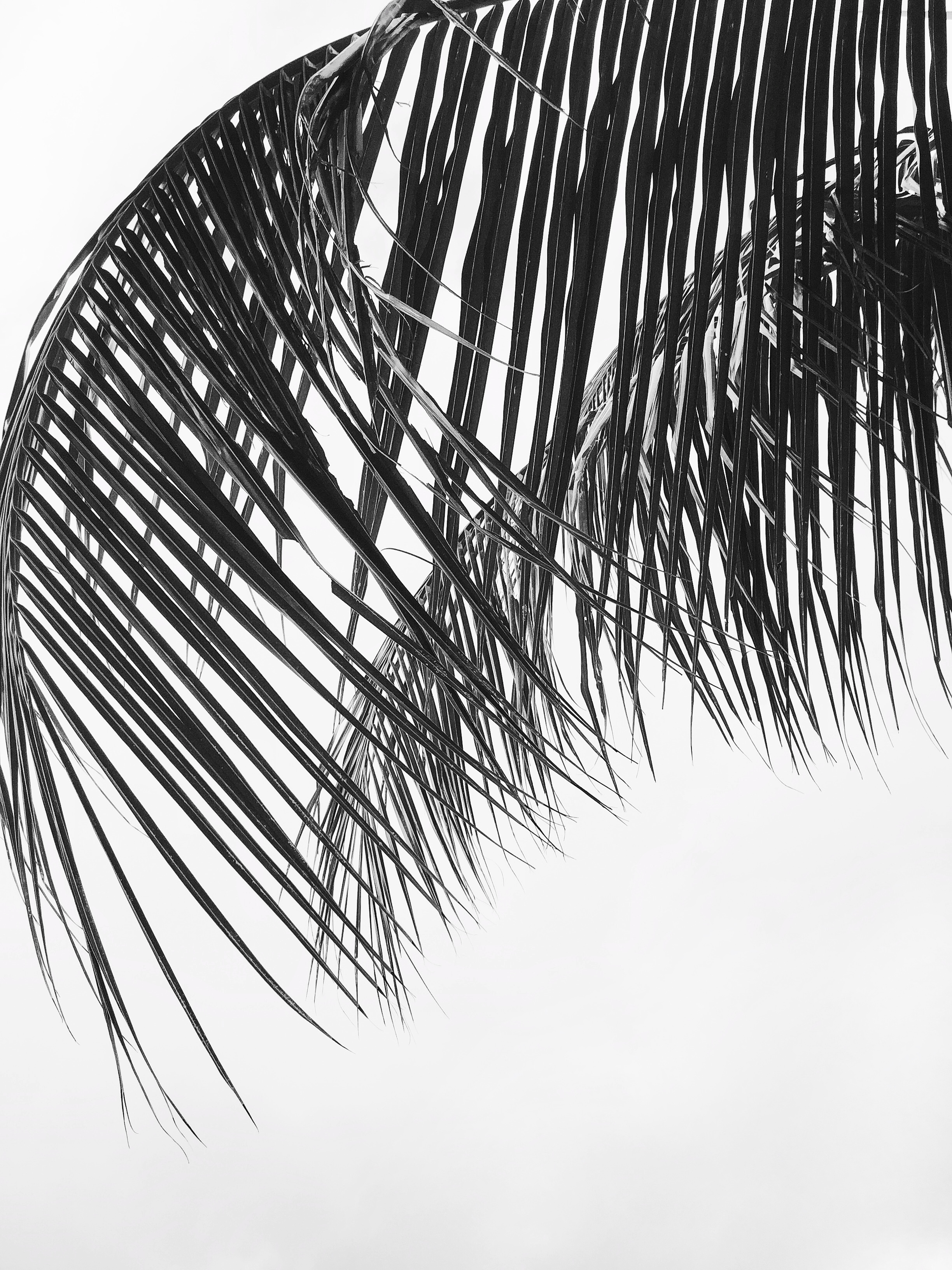 Is sunscreen really important?