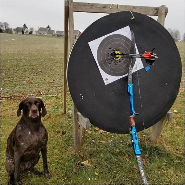 Is this the perfect couple Man_s best friend and a Spiga B.B. in the same picture! Thank you Sean for this marvelous image! Keep on following and share your daily passion! Let your pets be part of your archery moments as Sean beautiful German short h.jpg