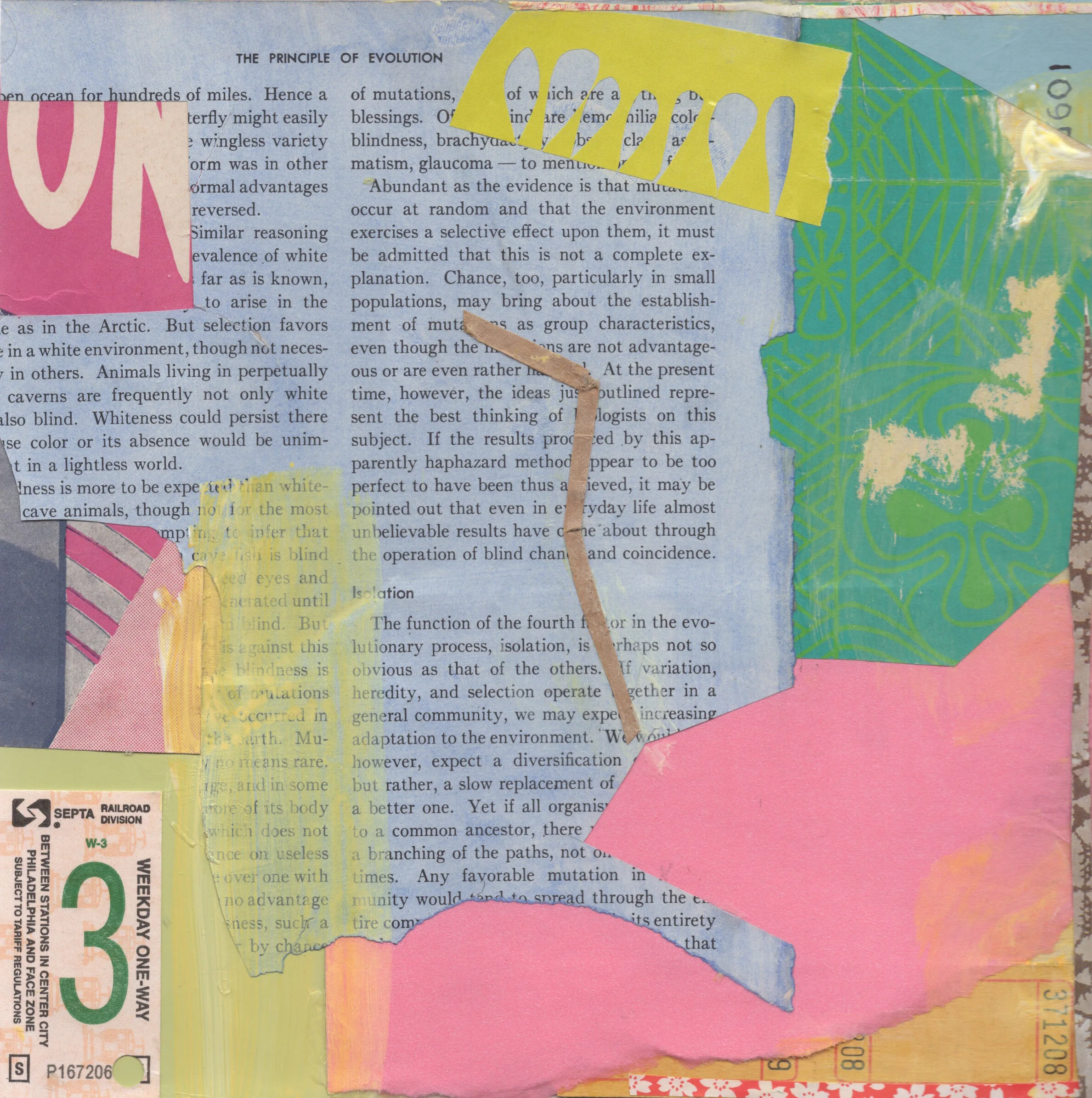 Stine_Carla_Collage 28.jpg