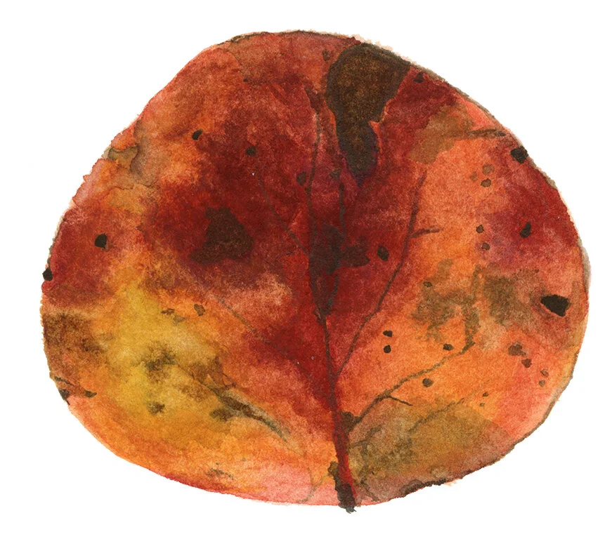Fall Leaf4.jpg