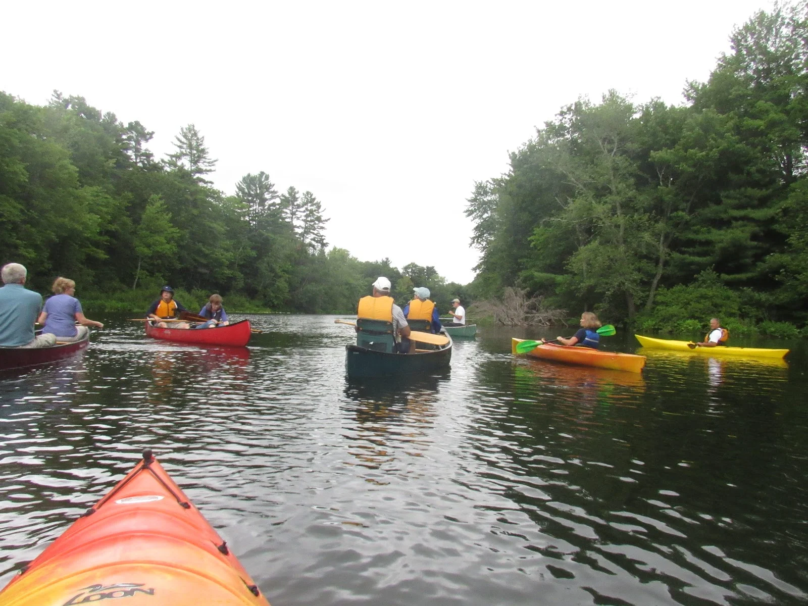 Intro to Paddling the Presumpscot for Families