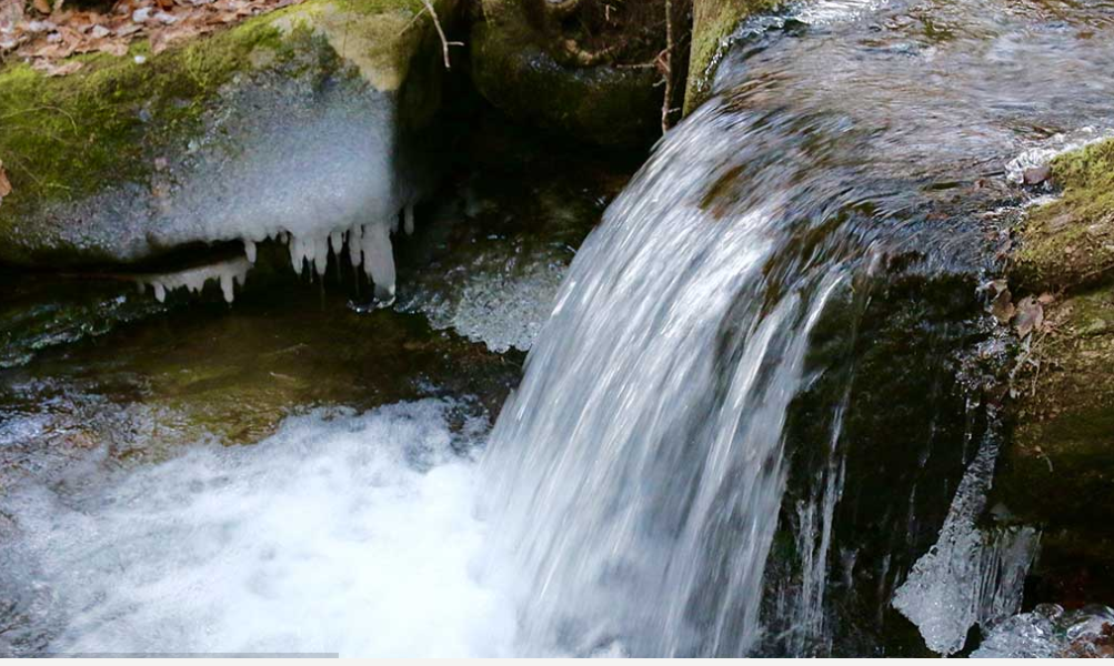 CANCELED - Guided Meditation Nature-Awareness Walk