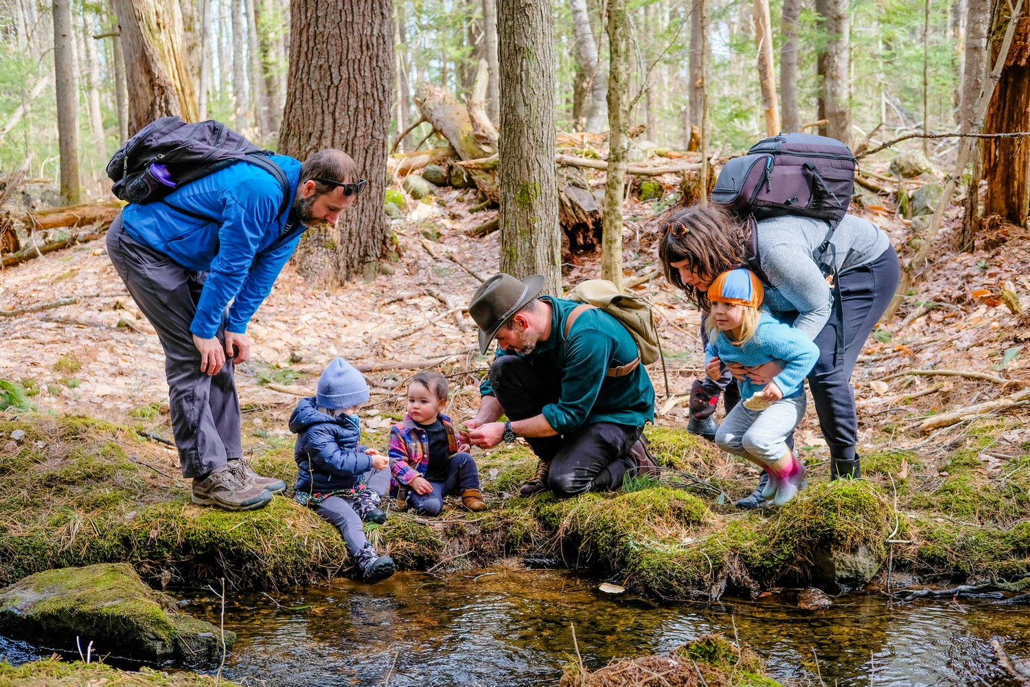 The Beaver's Keystone Activities – Mousam Way Land Trust