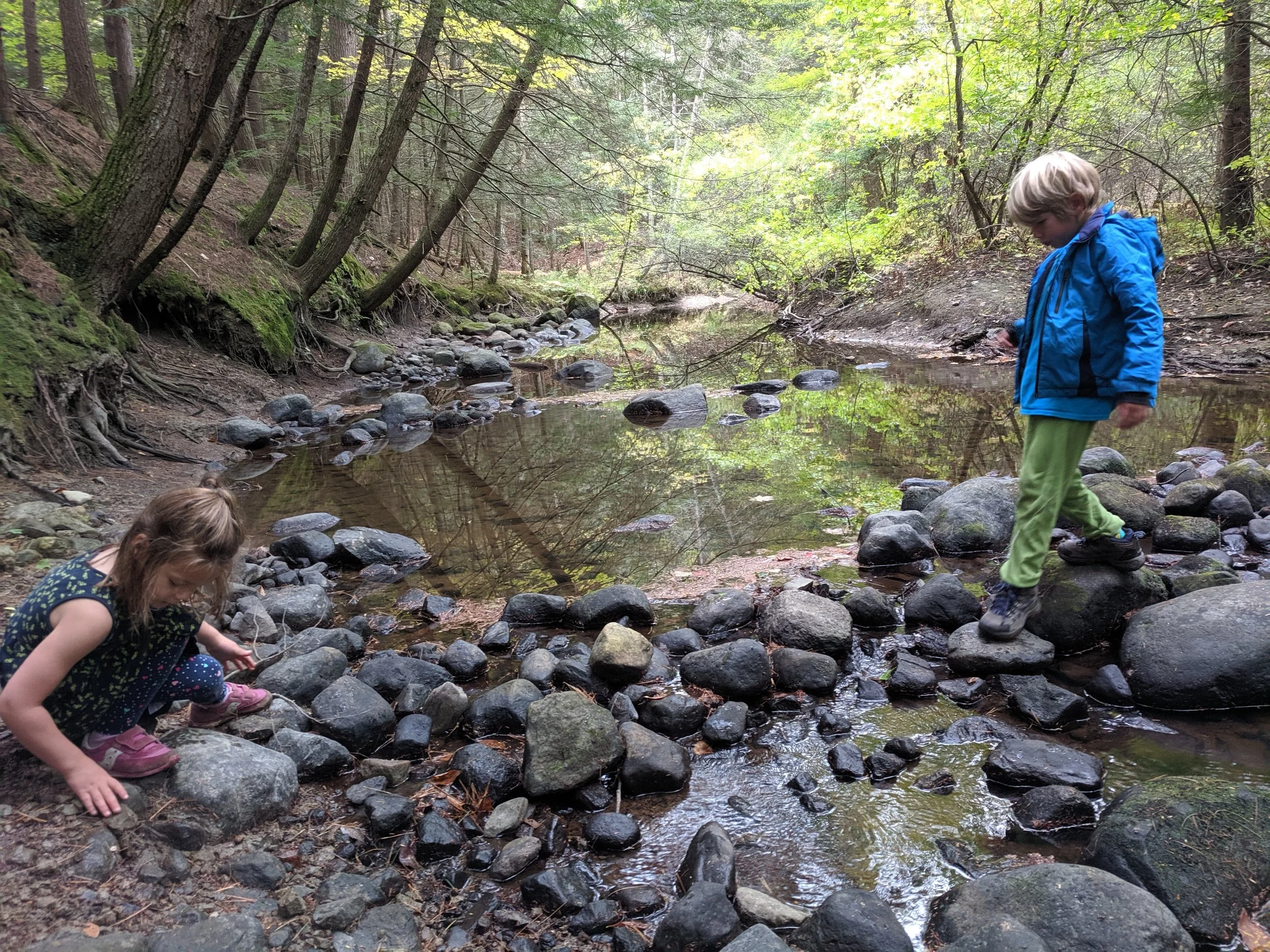 Mill Brook Preserve South, Westbrook (with kids).jpg