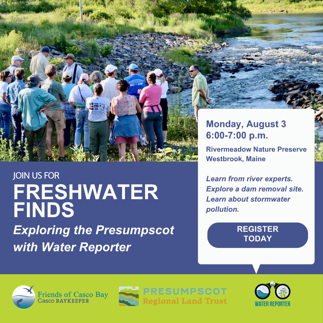Freshwater Finds: Exploring the Presumpscot with Water Reporter
