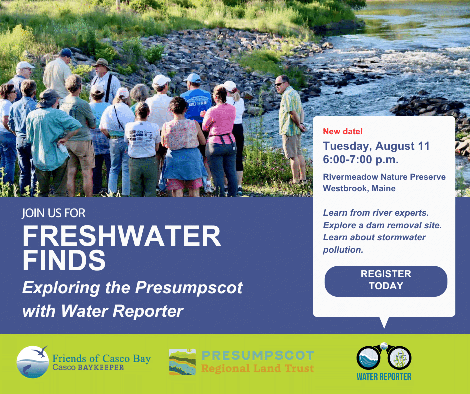 RESCHEDULED: Freshwater Finds: Exploring the Presumpscot with Water Reporter