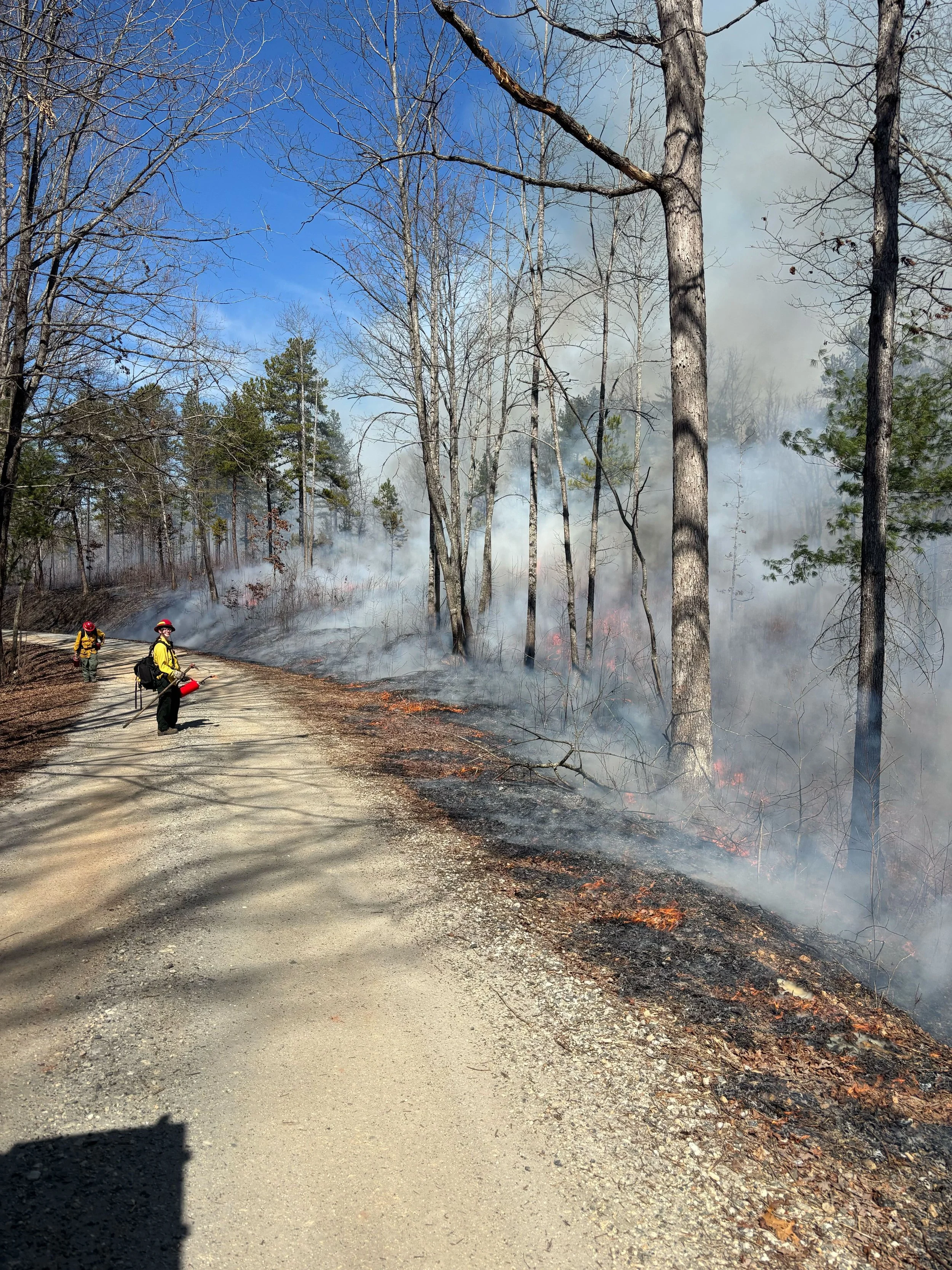 Fighting Fire with (Prescribed) Fire
