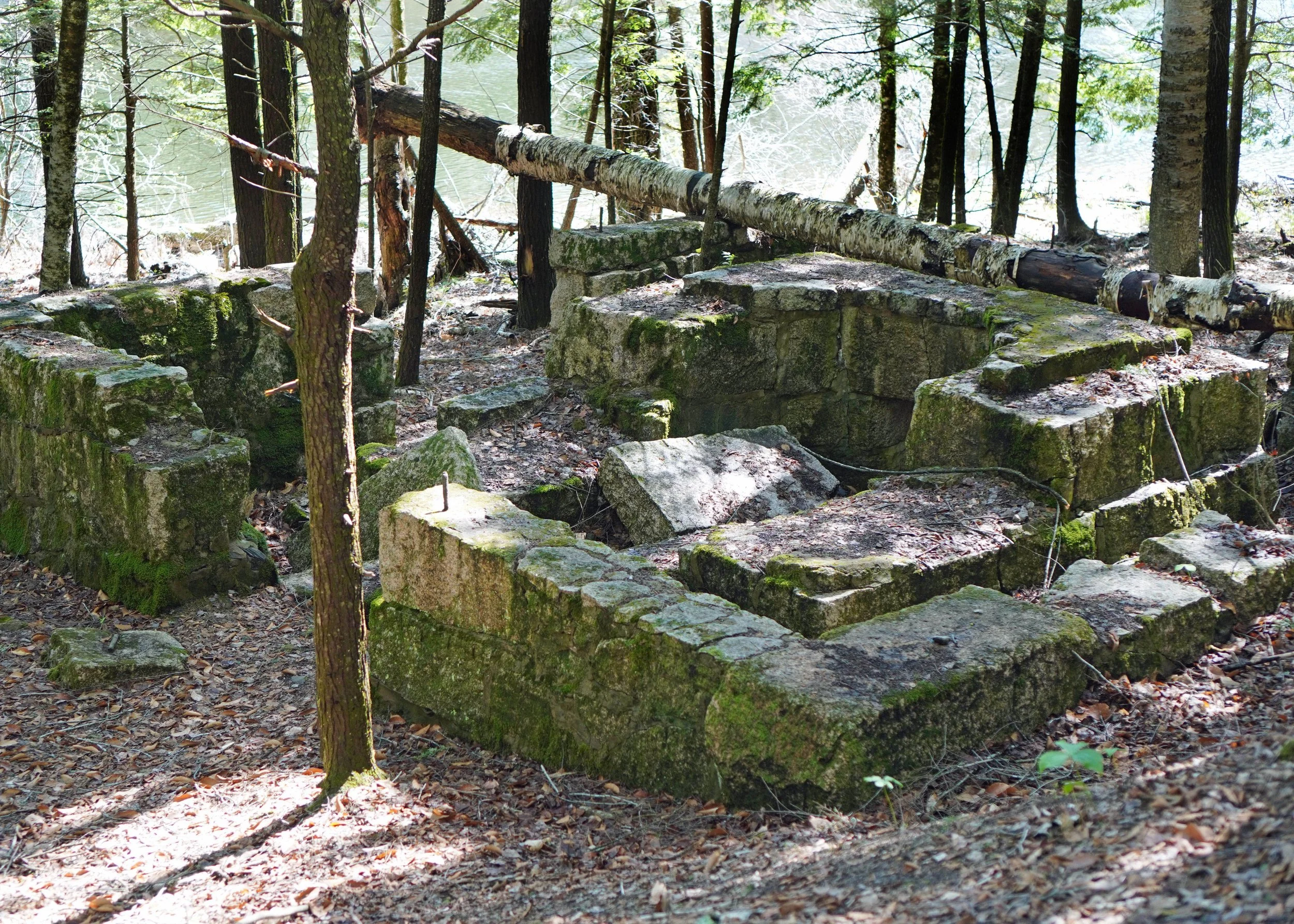 Historical Walk at Gambo Preserve (and Orchard Ridge Farm!)