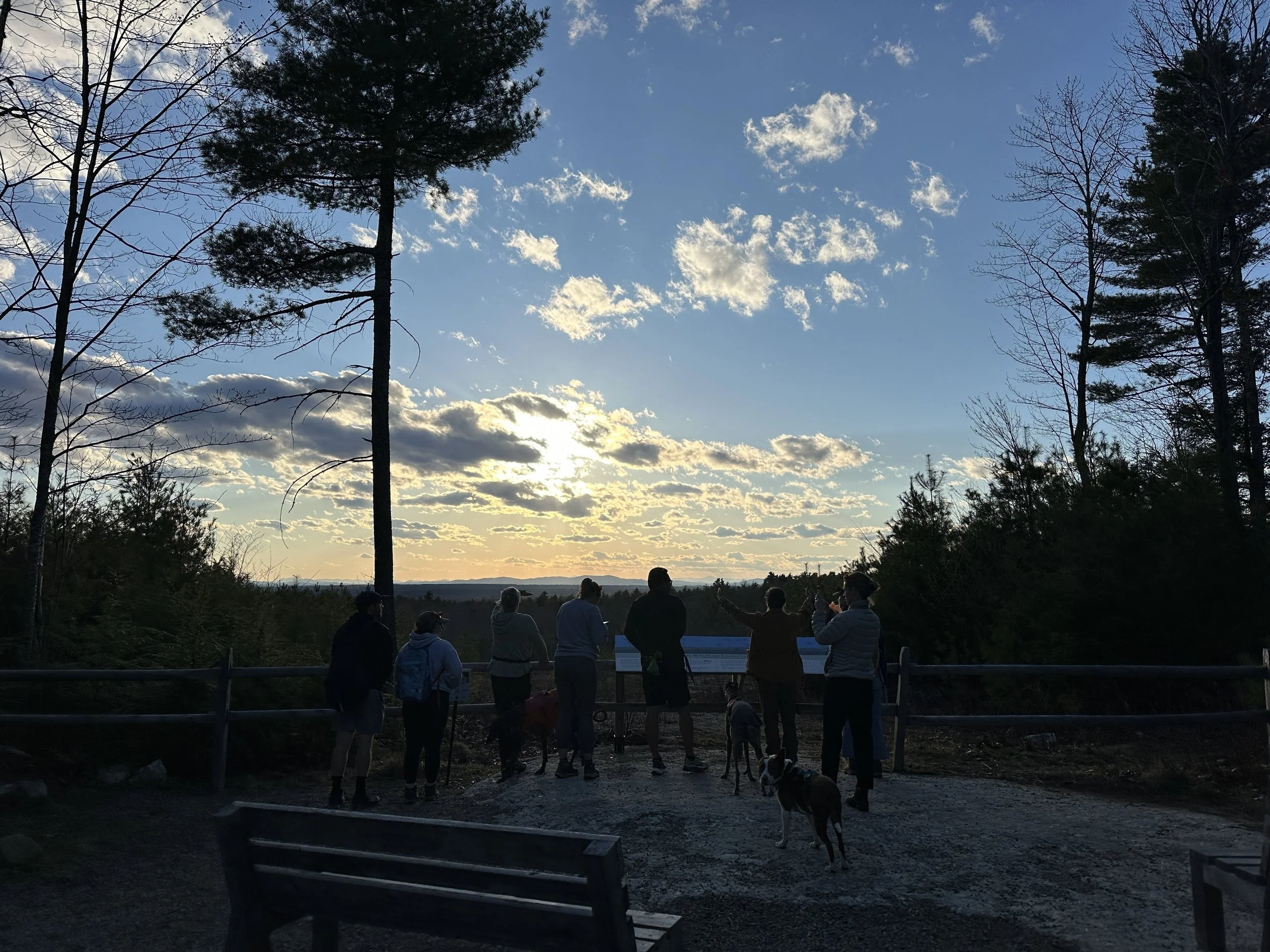 Sunset Hike with EcoReps at Windham Community Forest