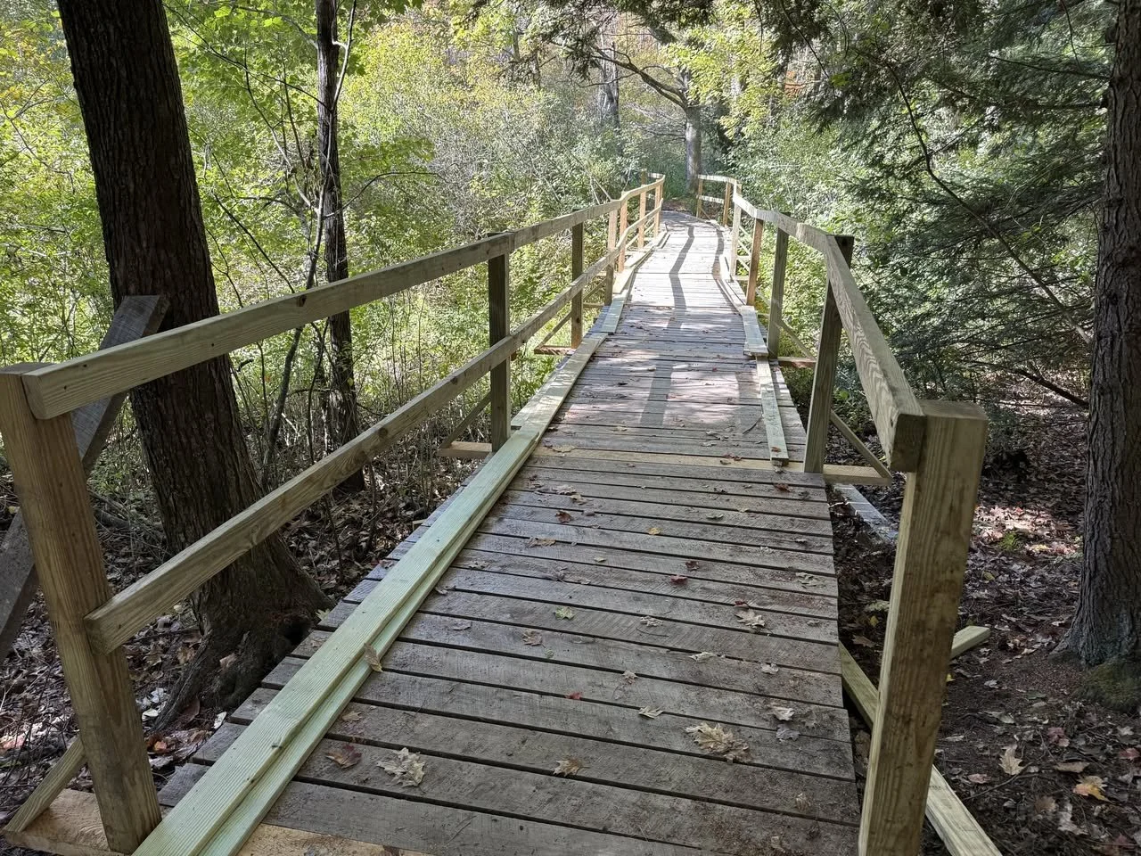 Fall Trail Update