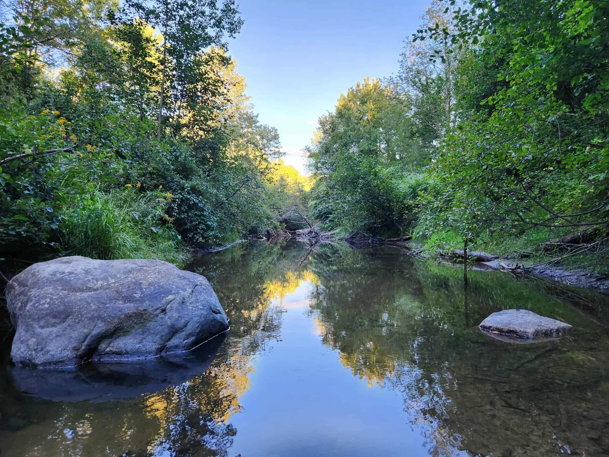 EmoranMill Brook 3.jpeg