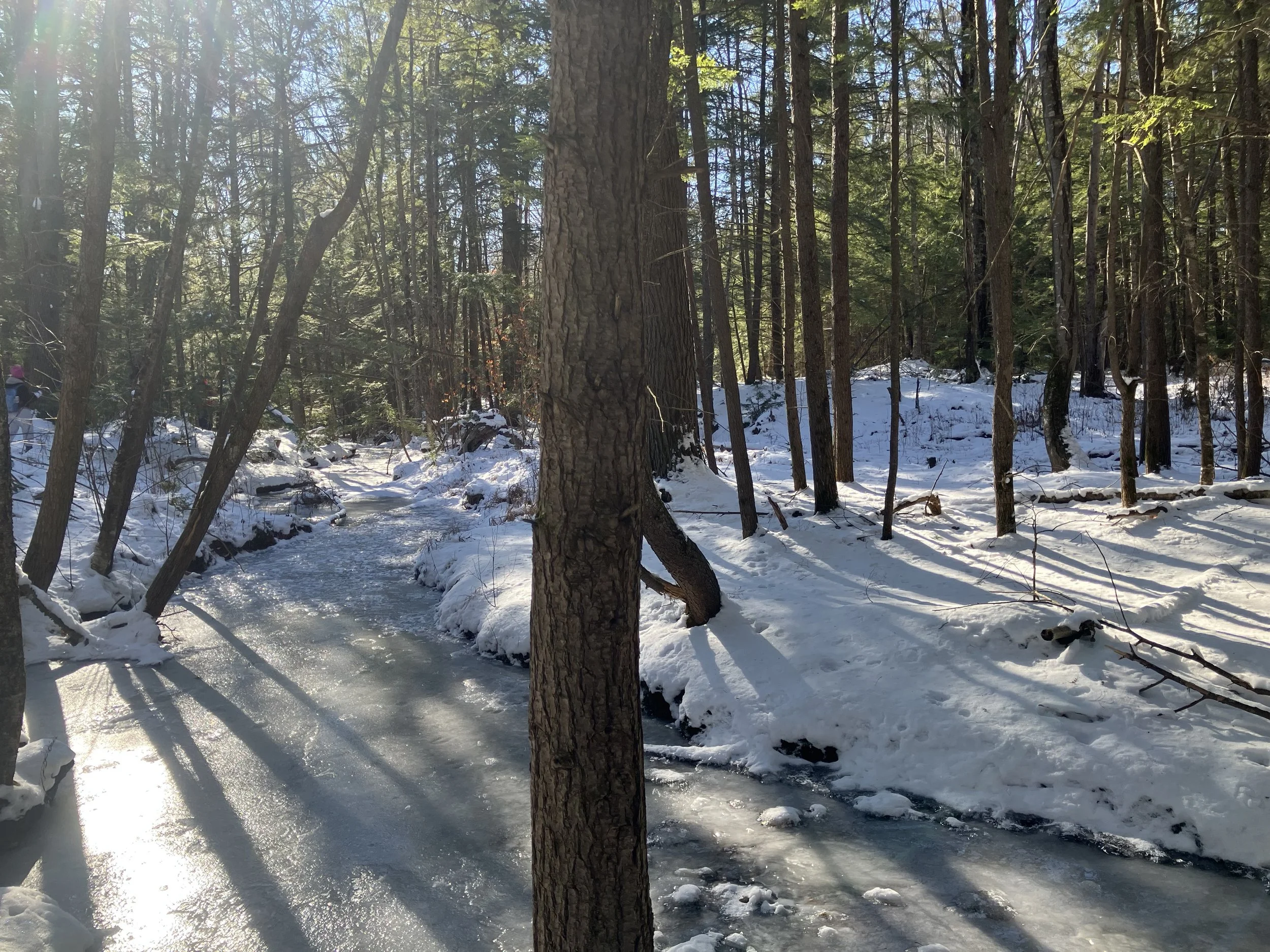 2026 Winter Photo Challenge