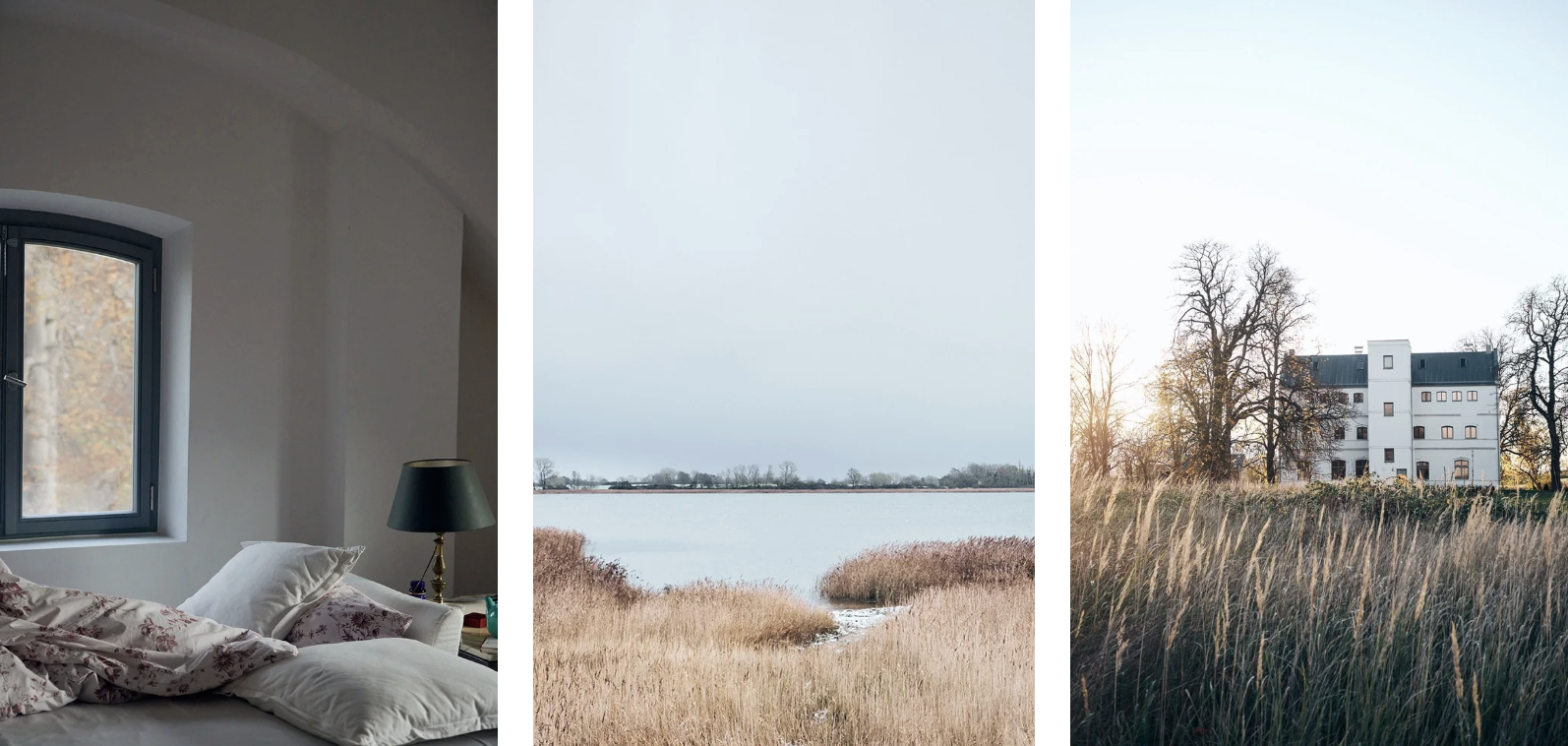 INNER LANDSCAPES - A Journey Into Awareness