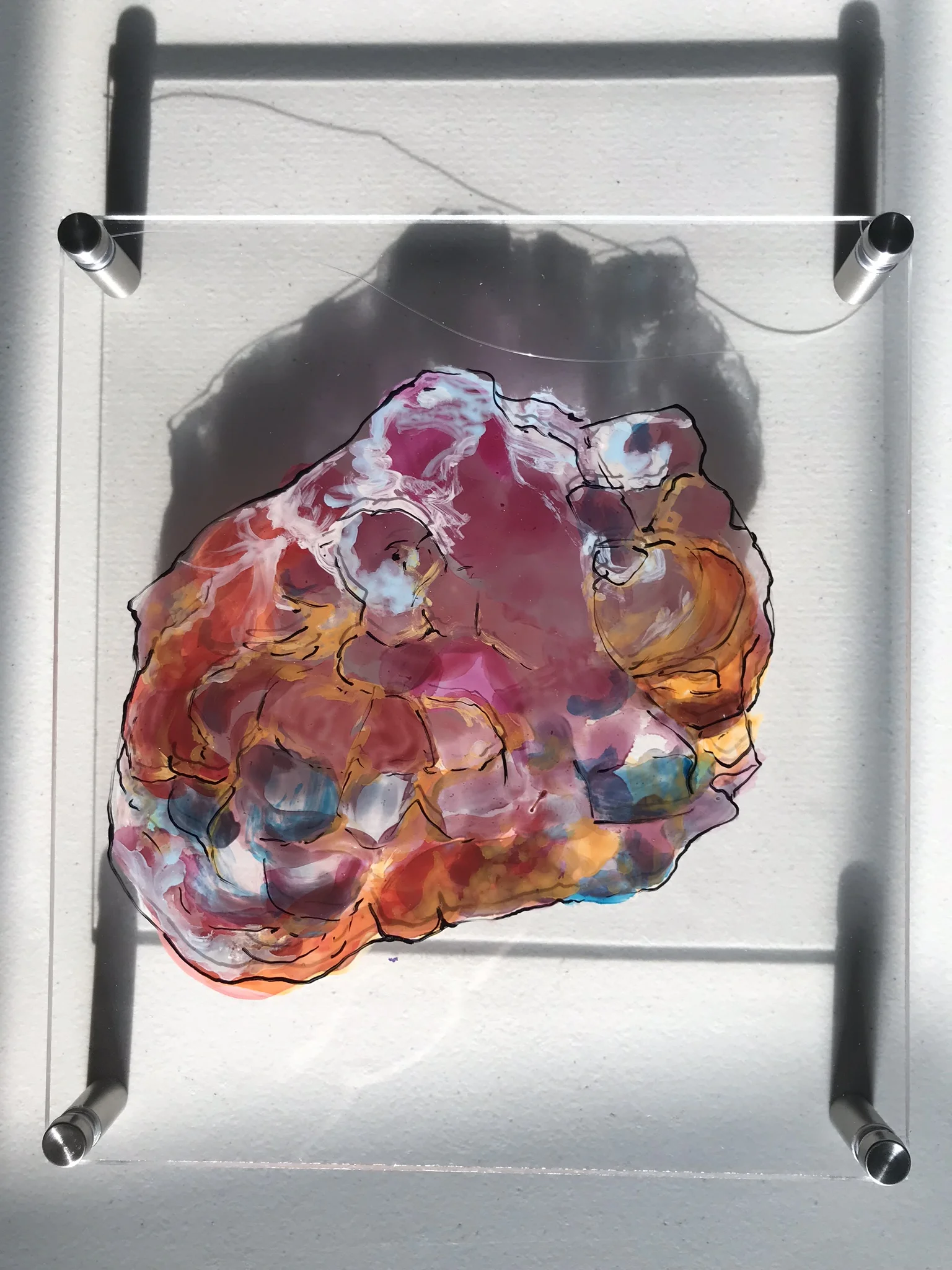  Shown here with bright sunlight  