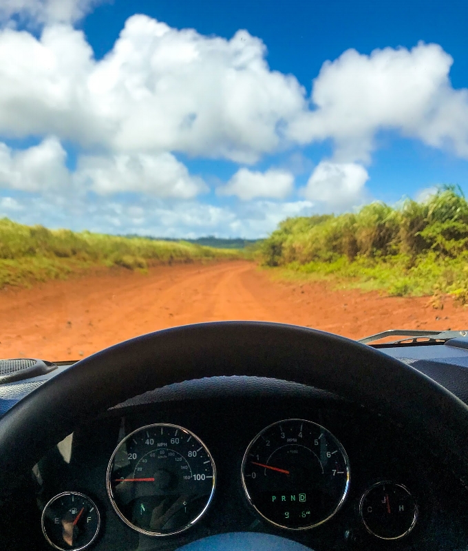 Hawaii 03.jpeg