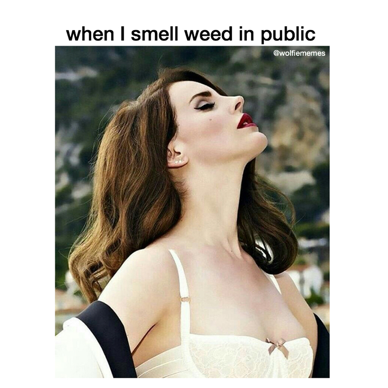 Reads: "When I smell weed in public.", Image: Lana Del Rey with head angled up as if to sniff the sky."