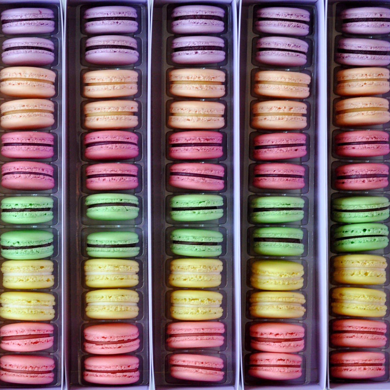 Spring Macarons.jpeg