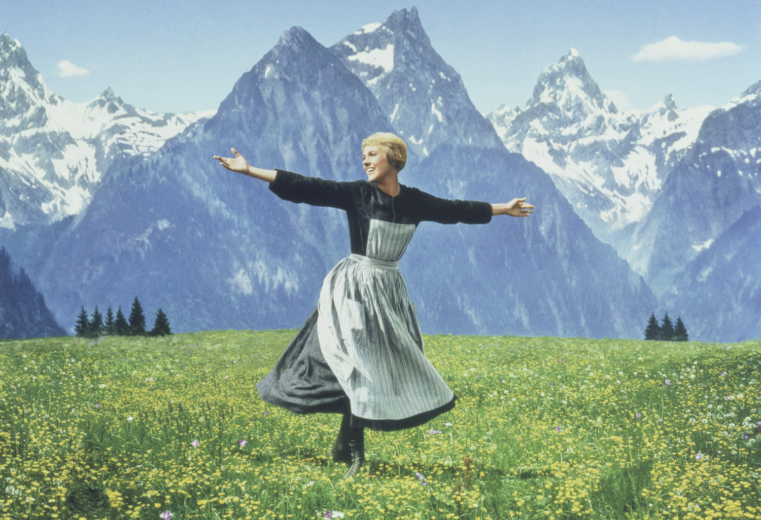 Julie Andrews in The Sound of Music