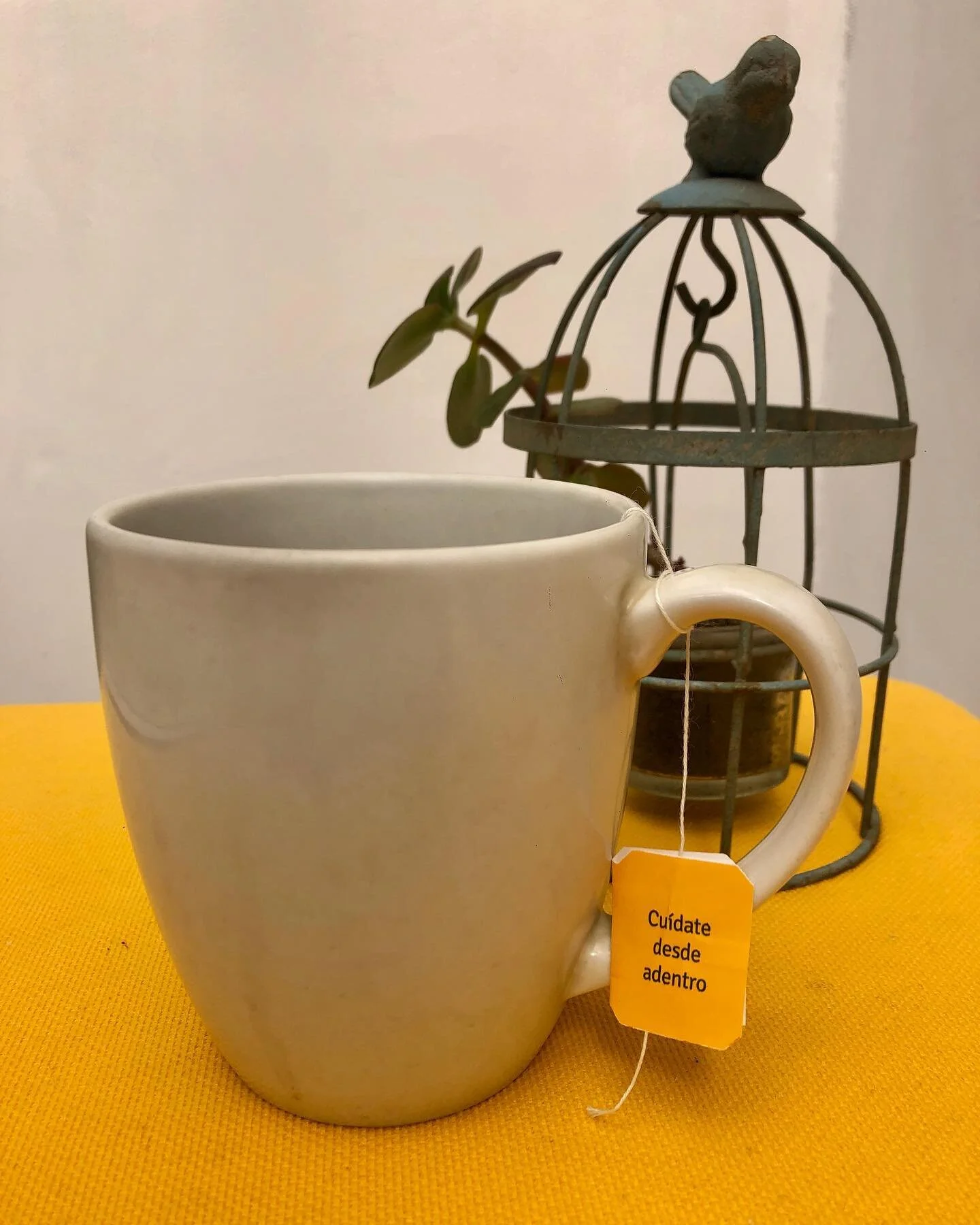 La salud es el gran tesoro.  #cuidarseesquererse #m&uacute;sicasaludable #amor #confianza #trabajoduro #deporteesvida #buensue&ntilde;o #nutrirseesunplacer