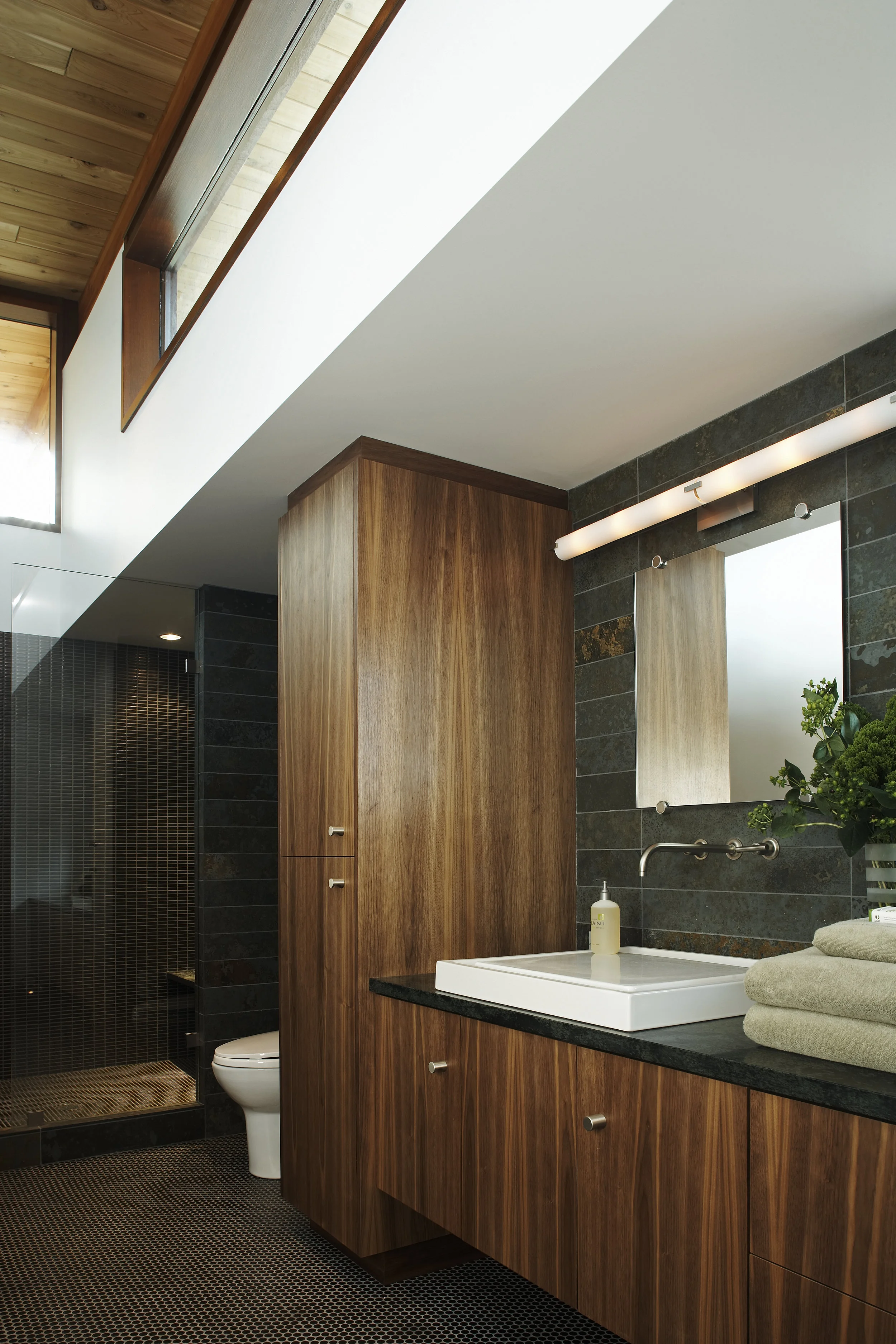 turkel_modern_design_prefab_serenbe_bathroom.jpg