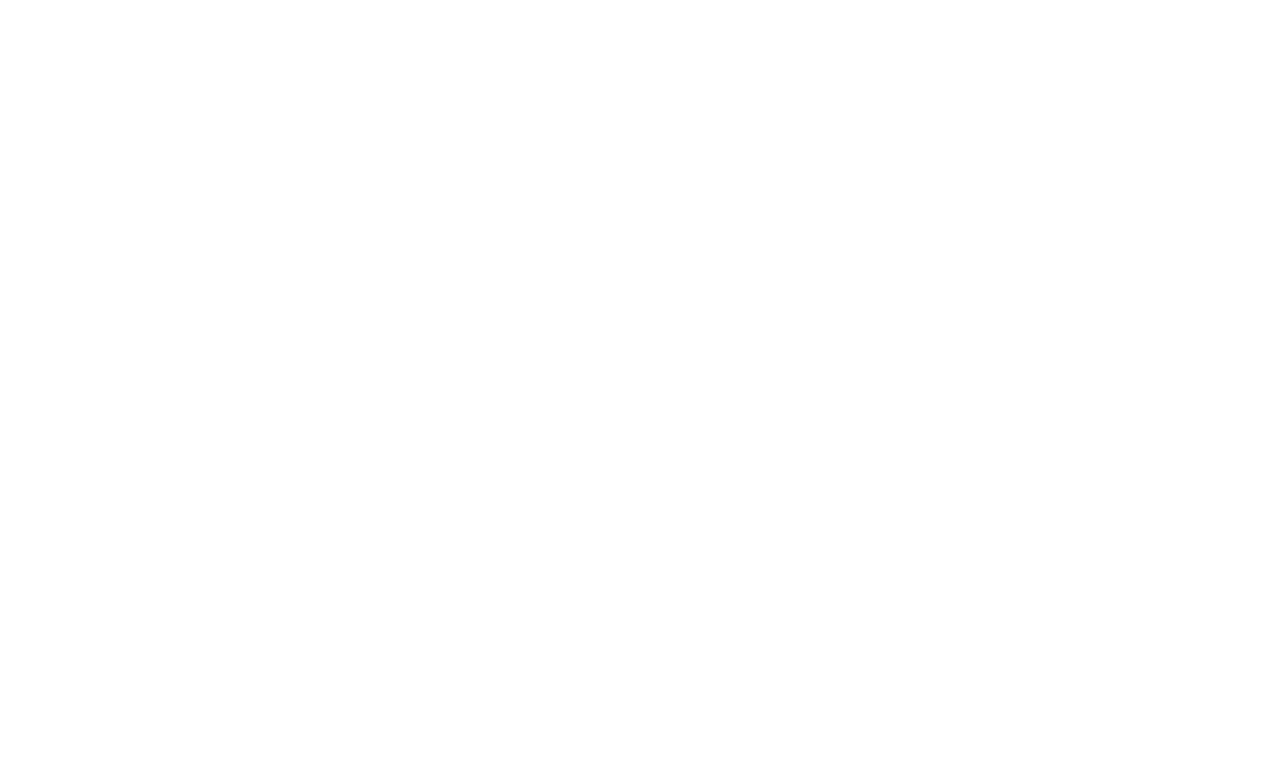 Fernandes Ice Cream N.V.