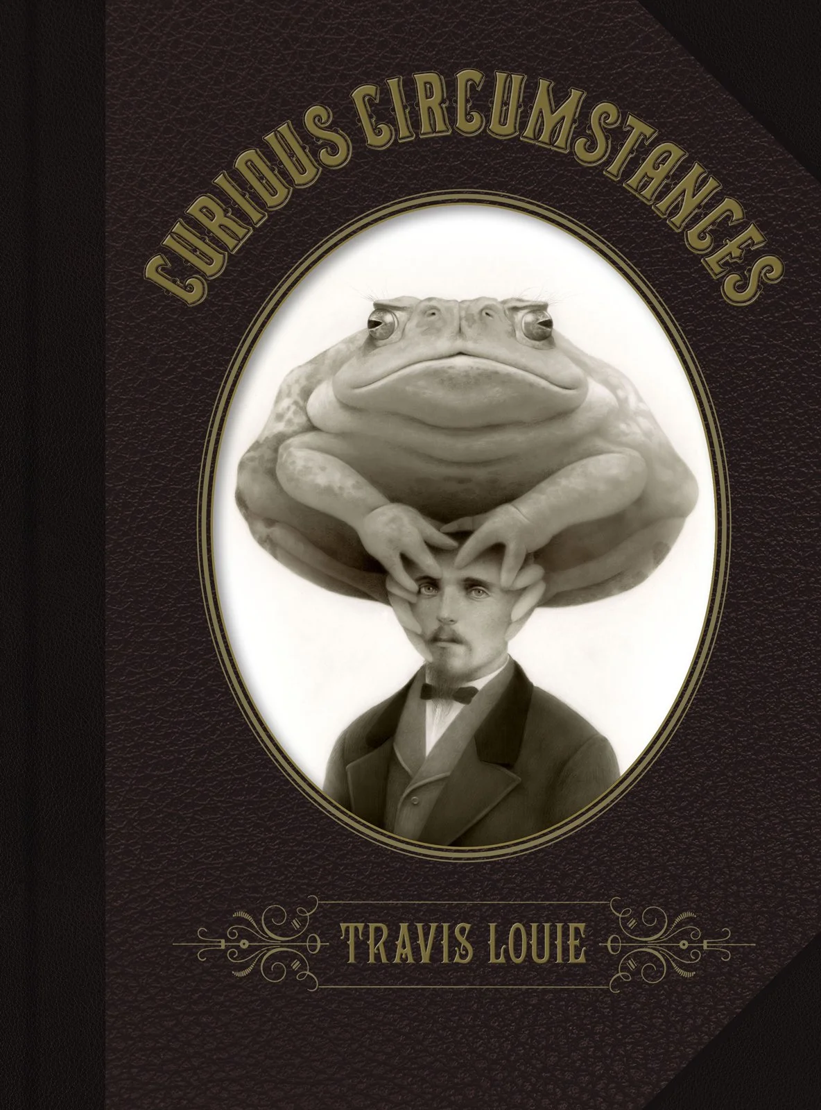 Curious-Circumstances-Trade Cover-B - Travis Louie.jpg