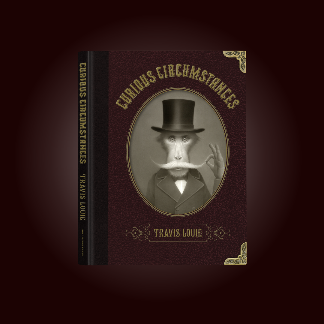 AVAILABLE FOR PREORDER: Curious Circumstances Ltd Edition