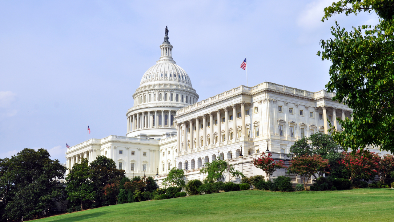 Kinship Care Story: Helping a Student Say Yes to Washington, D.C.