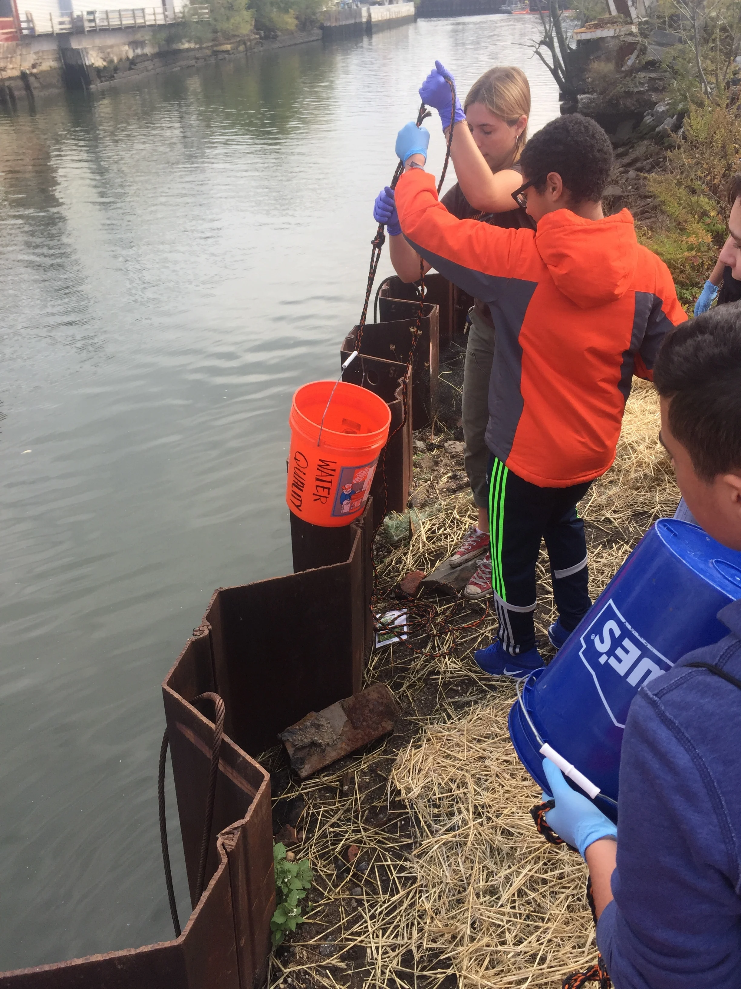living breakwaters ny on Regenerating Tottenville