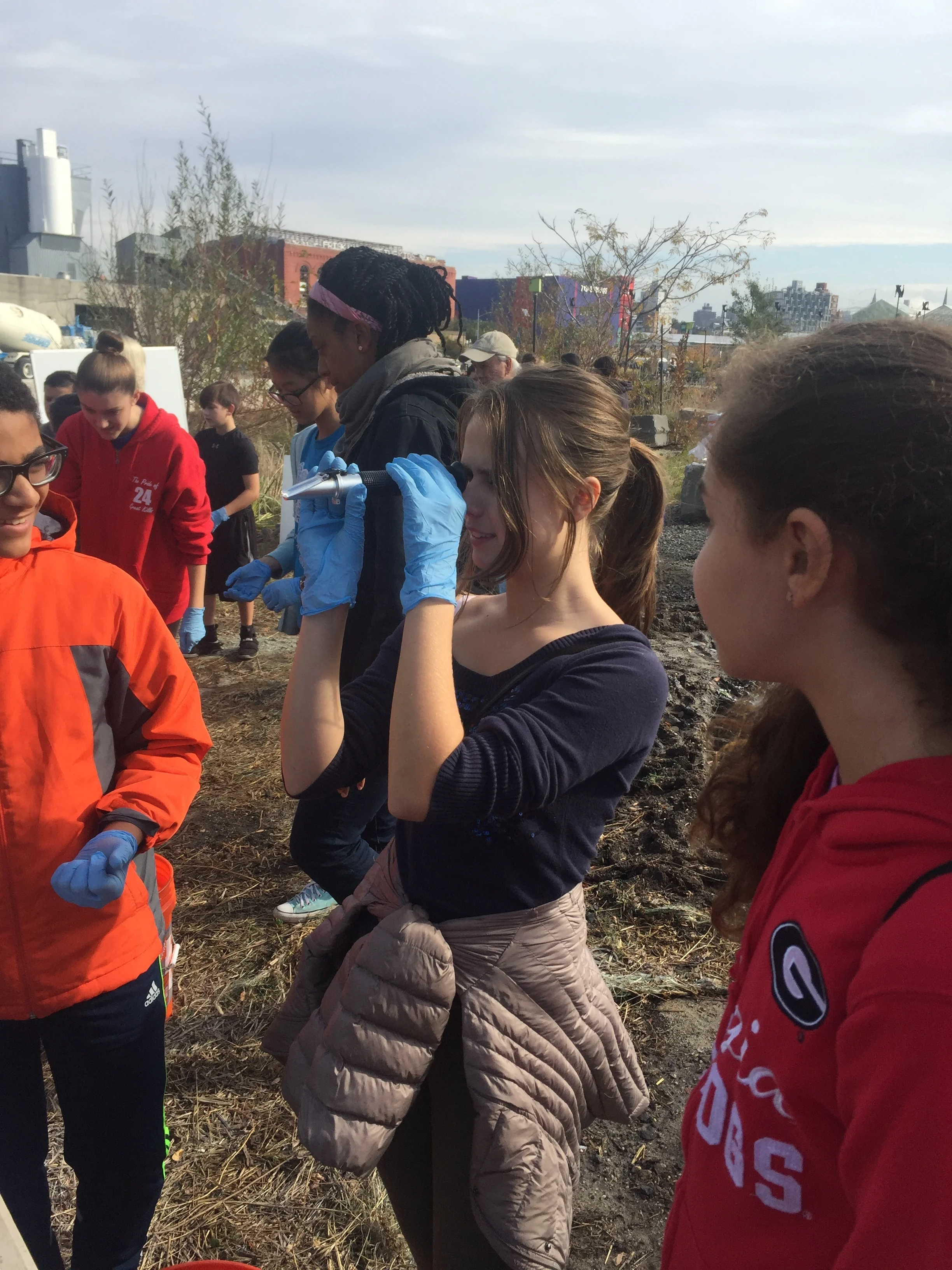 living breakwaters ny on Regenerating Tottenville